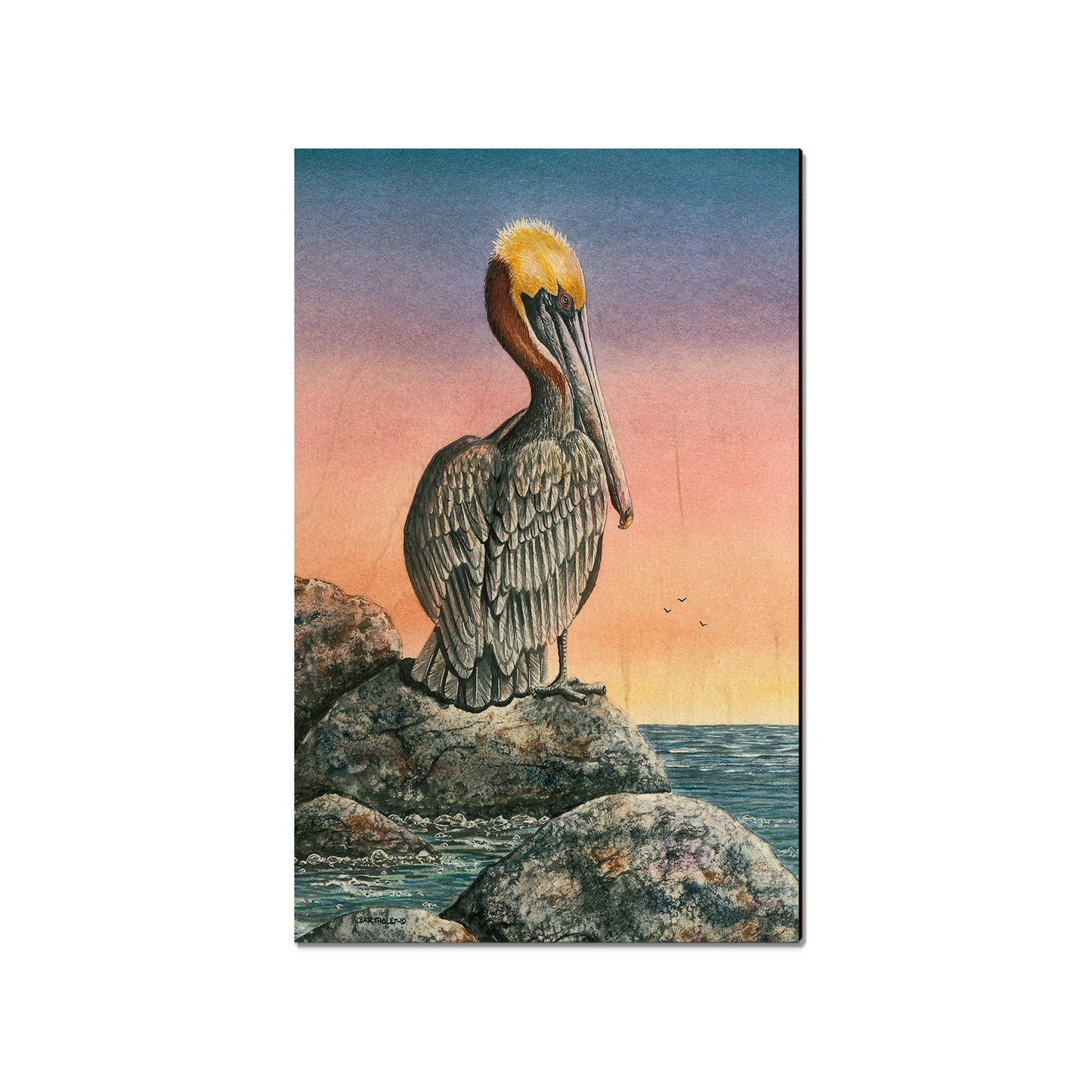Bartholet's The Cove  - Classic Edge
