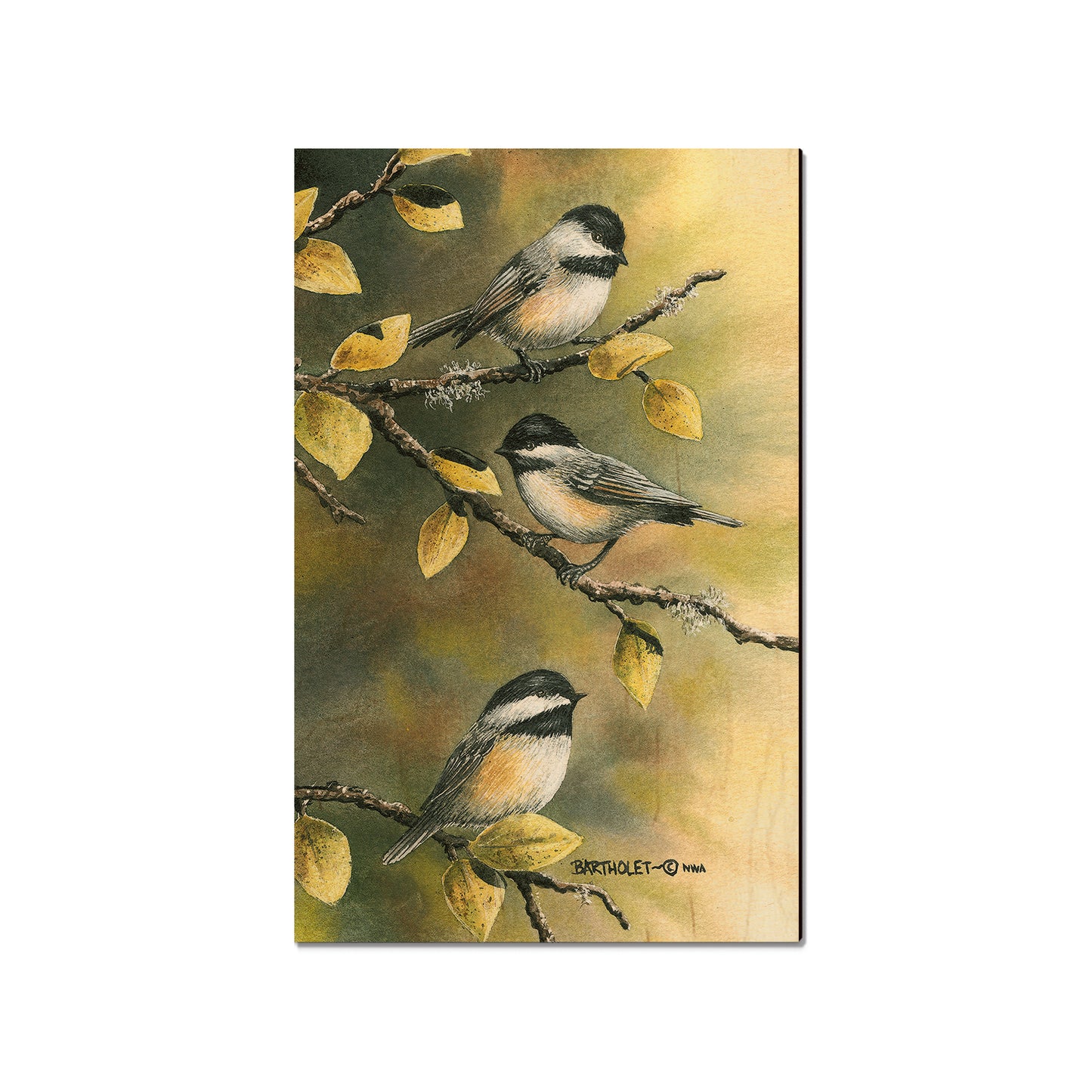 Bartholet's Three Chickadees  - Classic Edge