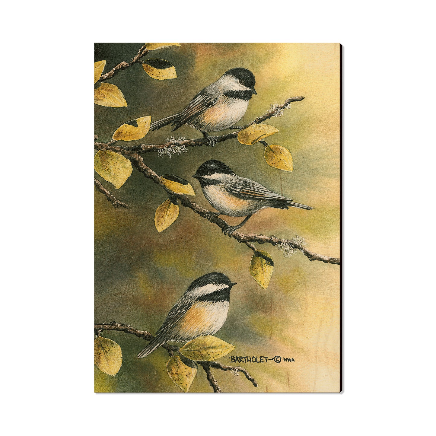Bartholet's Three Chickadees  - Classic Edge