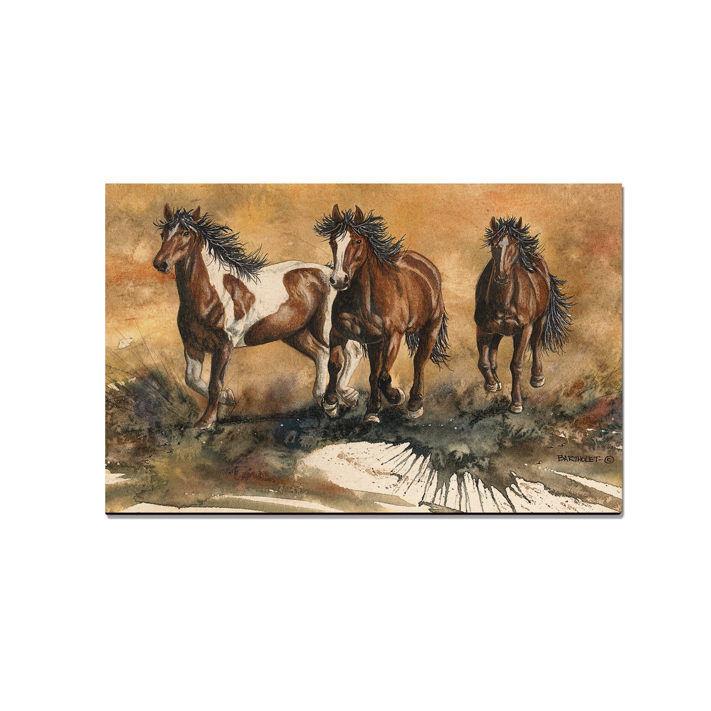 Bartholet's Touch Of Wild  - Classic Edge
