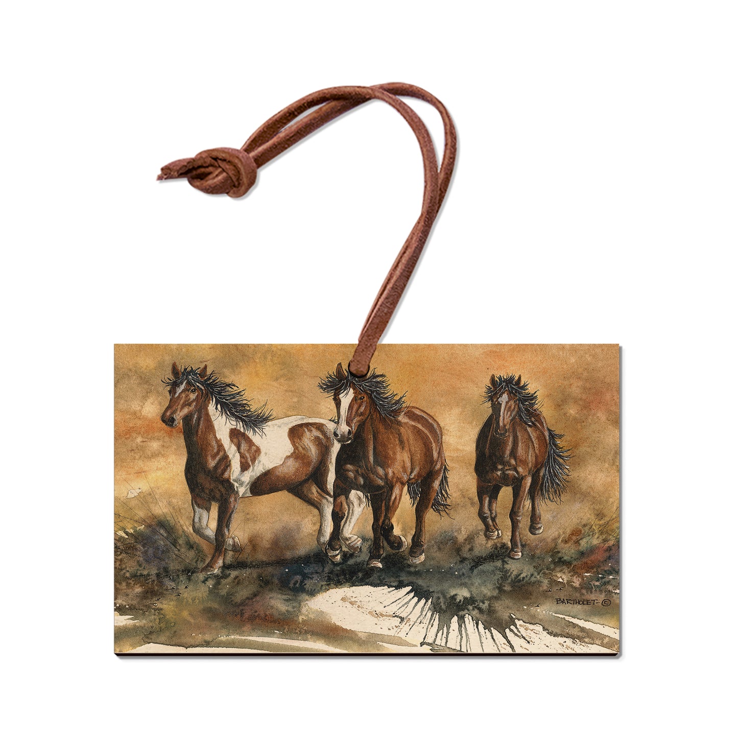 Bartholet's Touch Of Wild  - Classic Edge