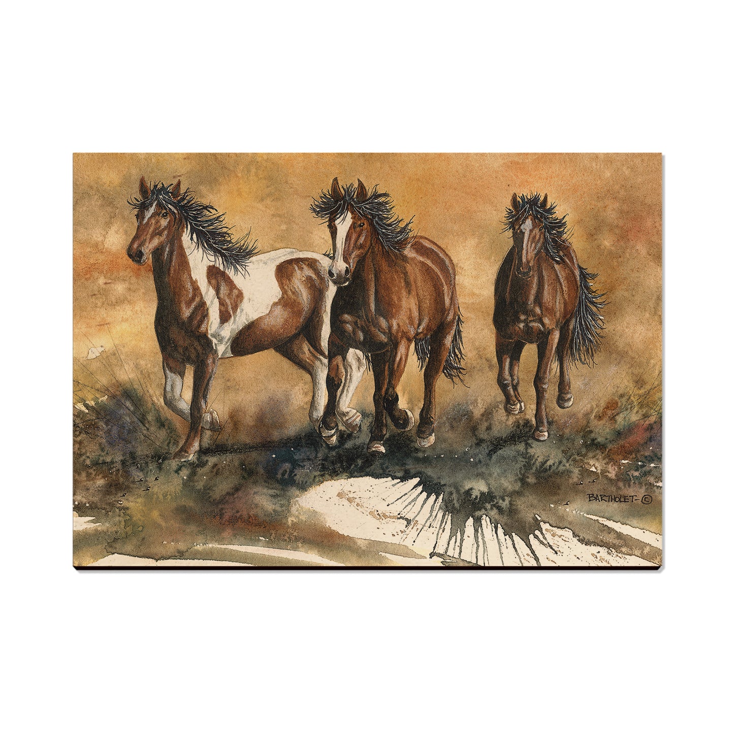 Bartholet's Touch Of Wild  - Classic Edge
