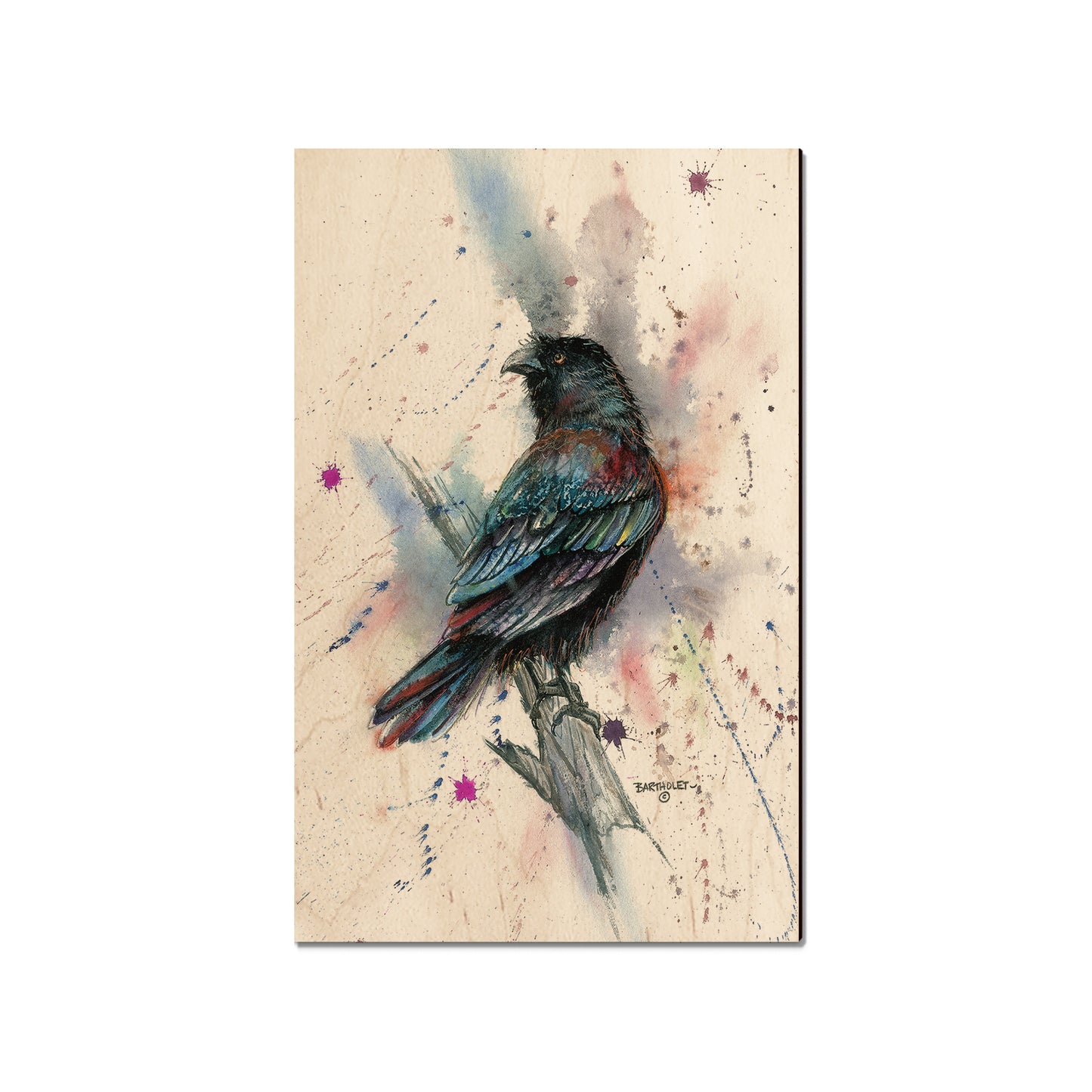 Bartholet's The Raven  - Classic Edge