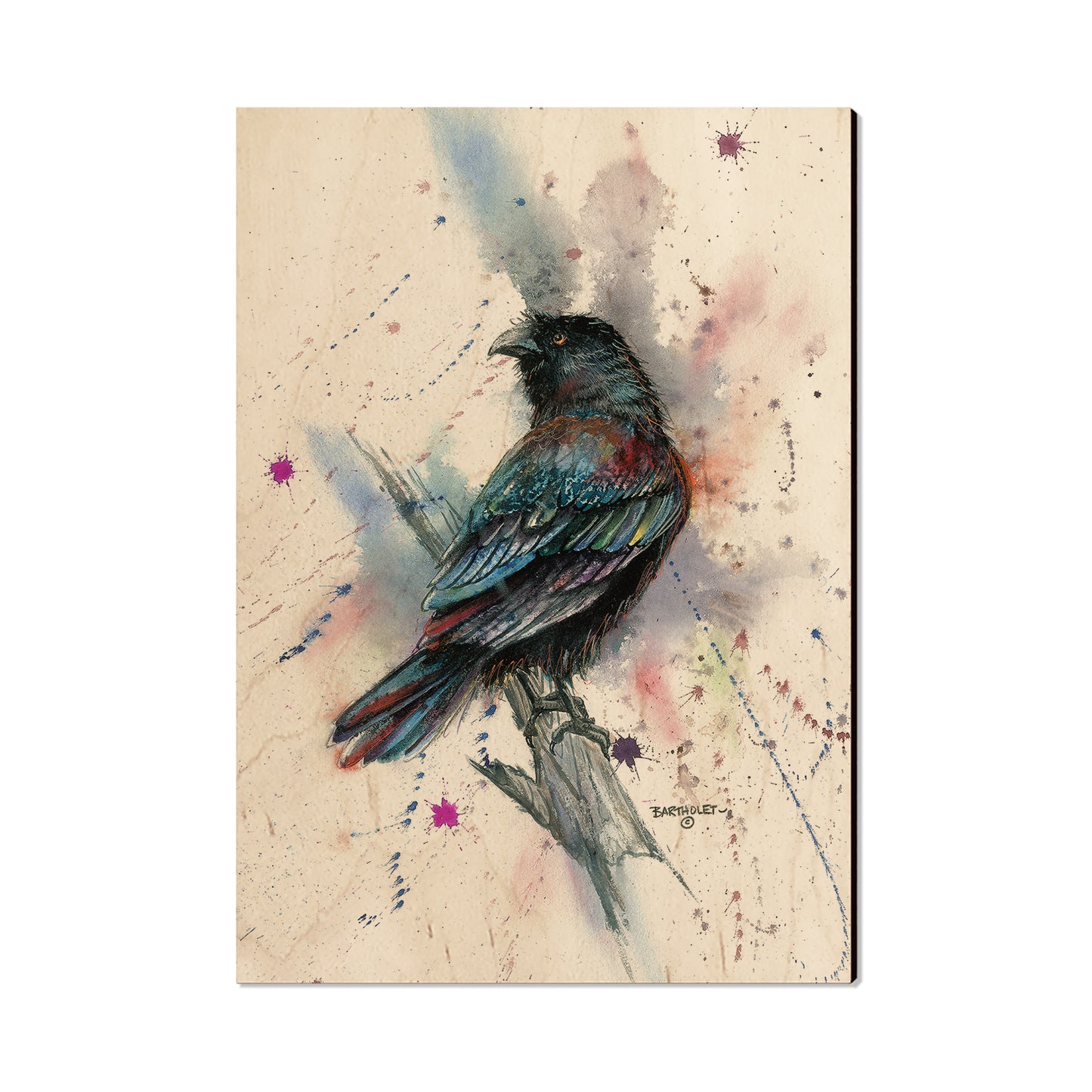 Bartholet's The Raven  - Classic Edge