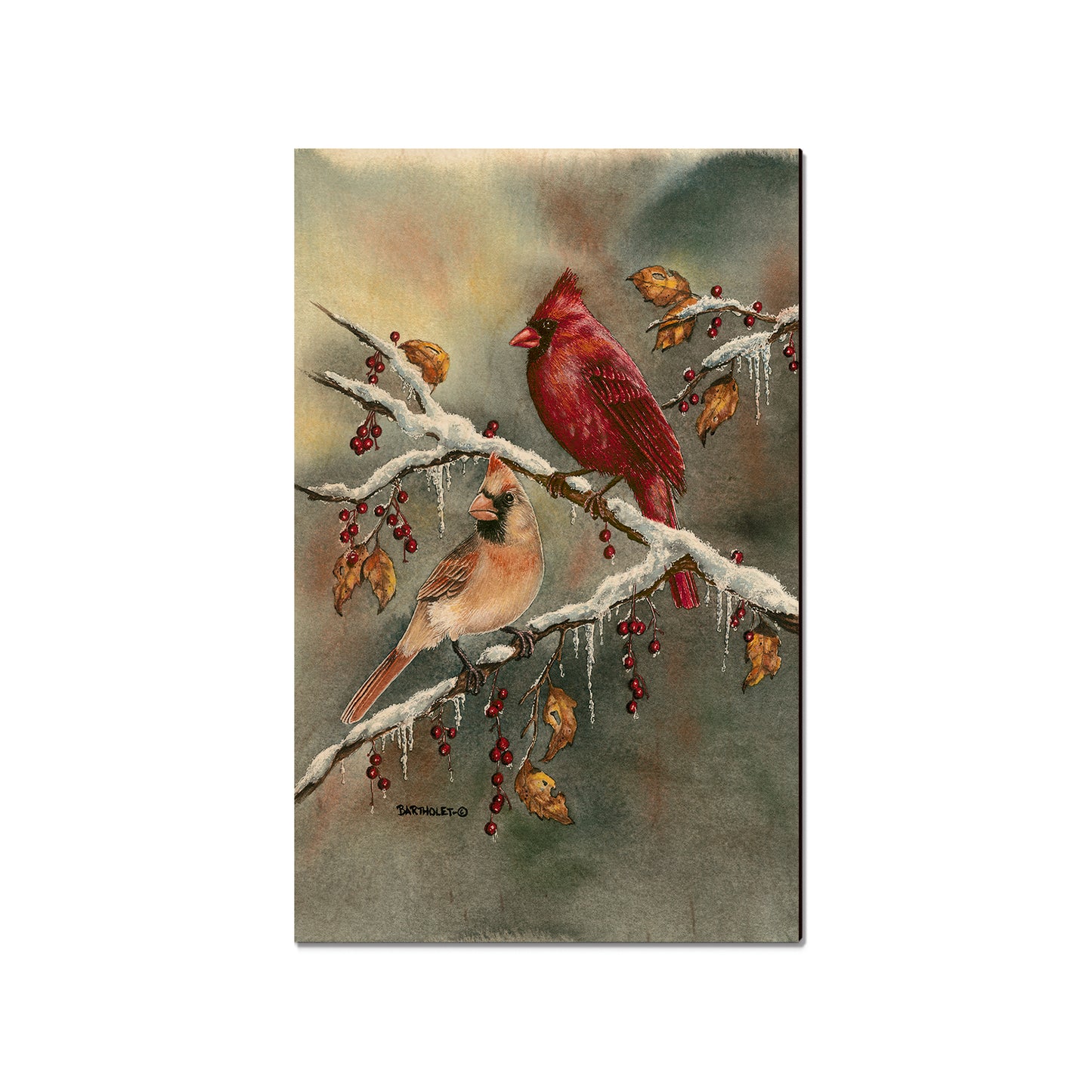 Bartholet's Winter Cardinals  - Classic Edge