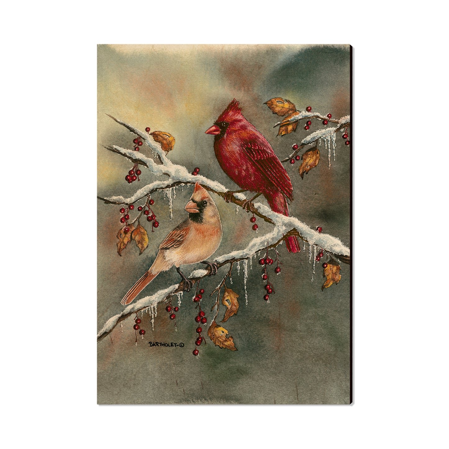 Bartholet's Winter Cardinals  - Classic Edge