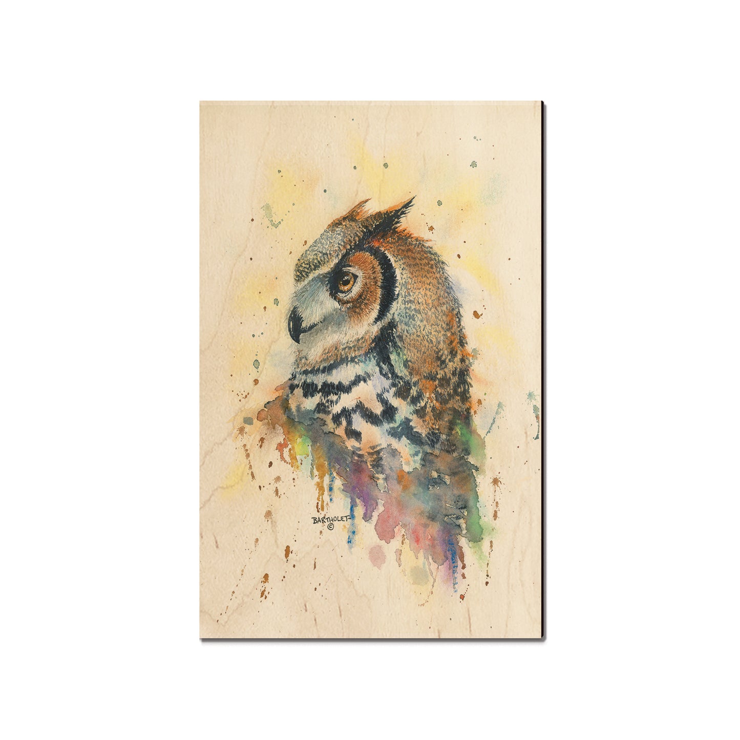 Bartholet's Watchful Eye  - Classic Edge