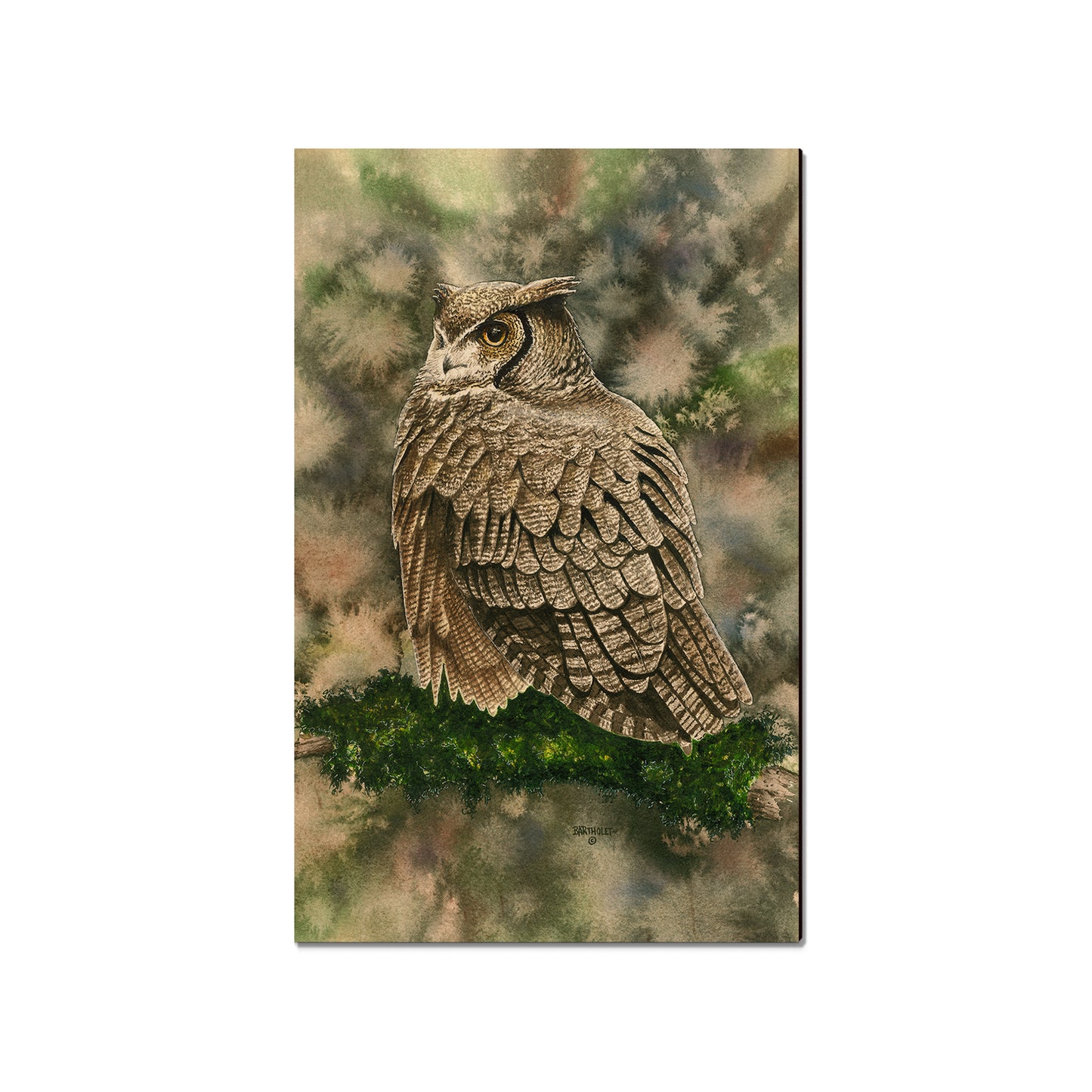 Bartholet's Woodland Ghost  - Classic Edge