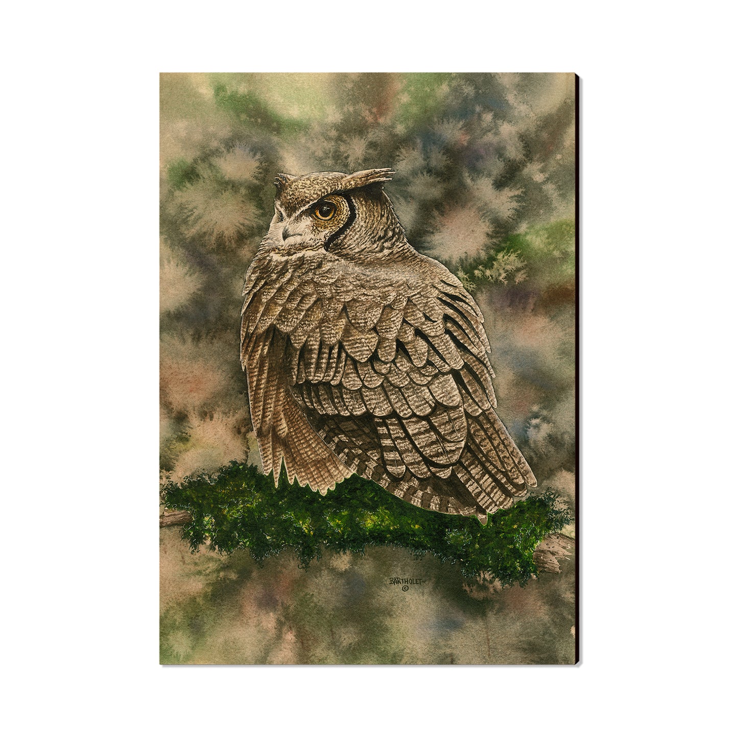 Bartholet's Woodland Ghost  - Classic Edge