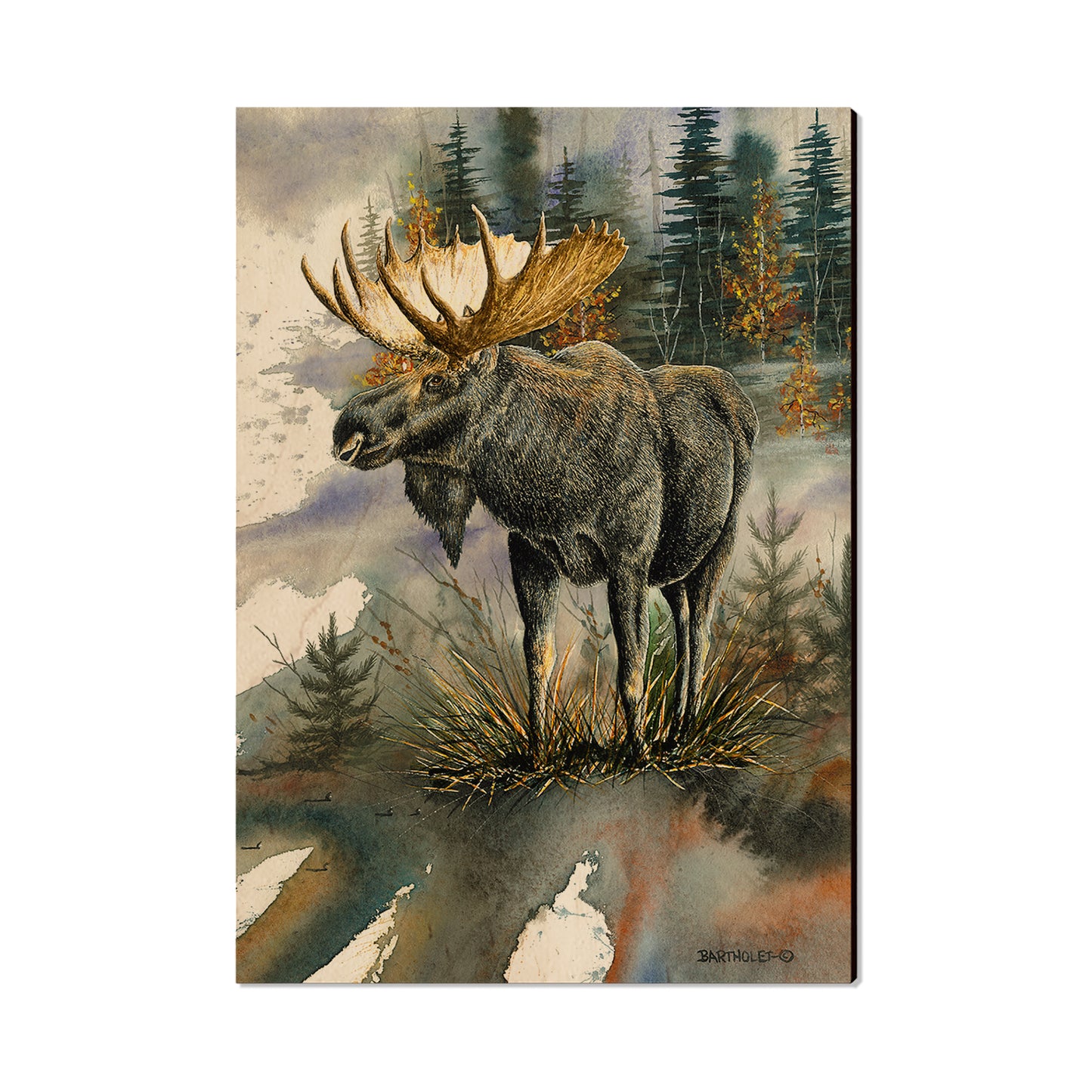 Bartholet's Woodland Majesty  - Classic Edge