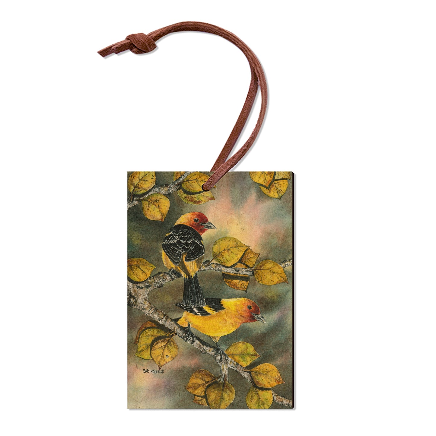 Bartholet's Western Tanagers  - Classic Edge