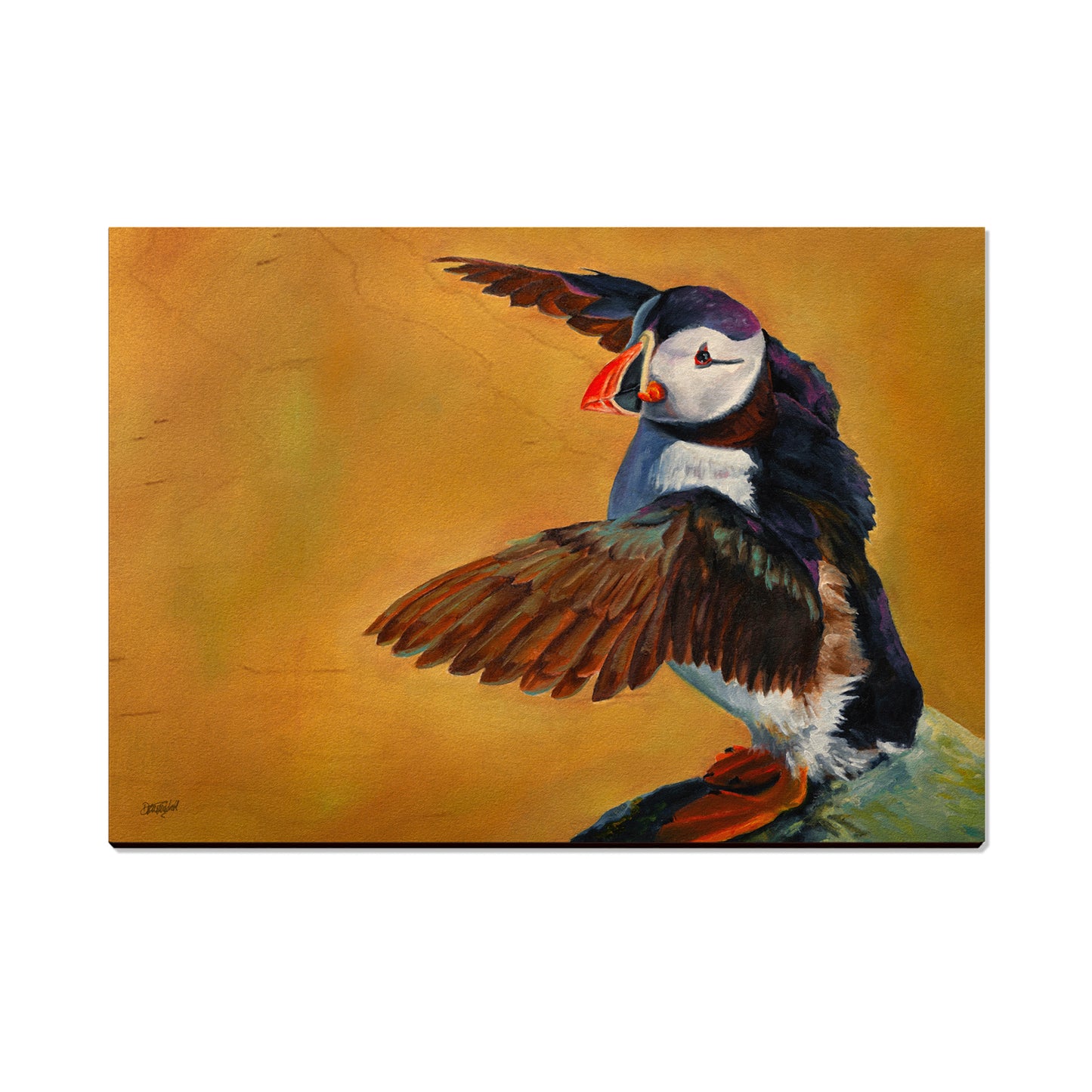 Twitchell's Afternoon Puffin - Classic Edge