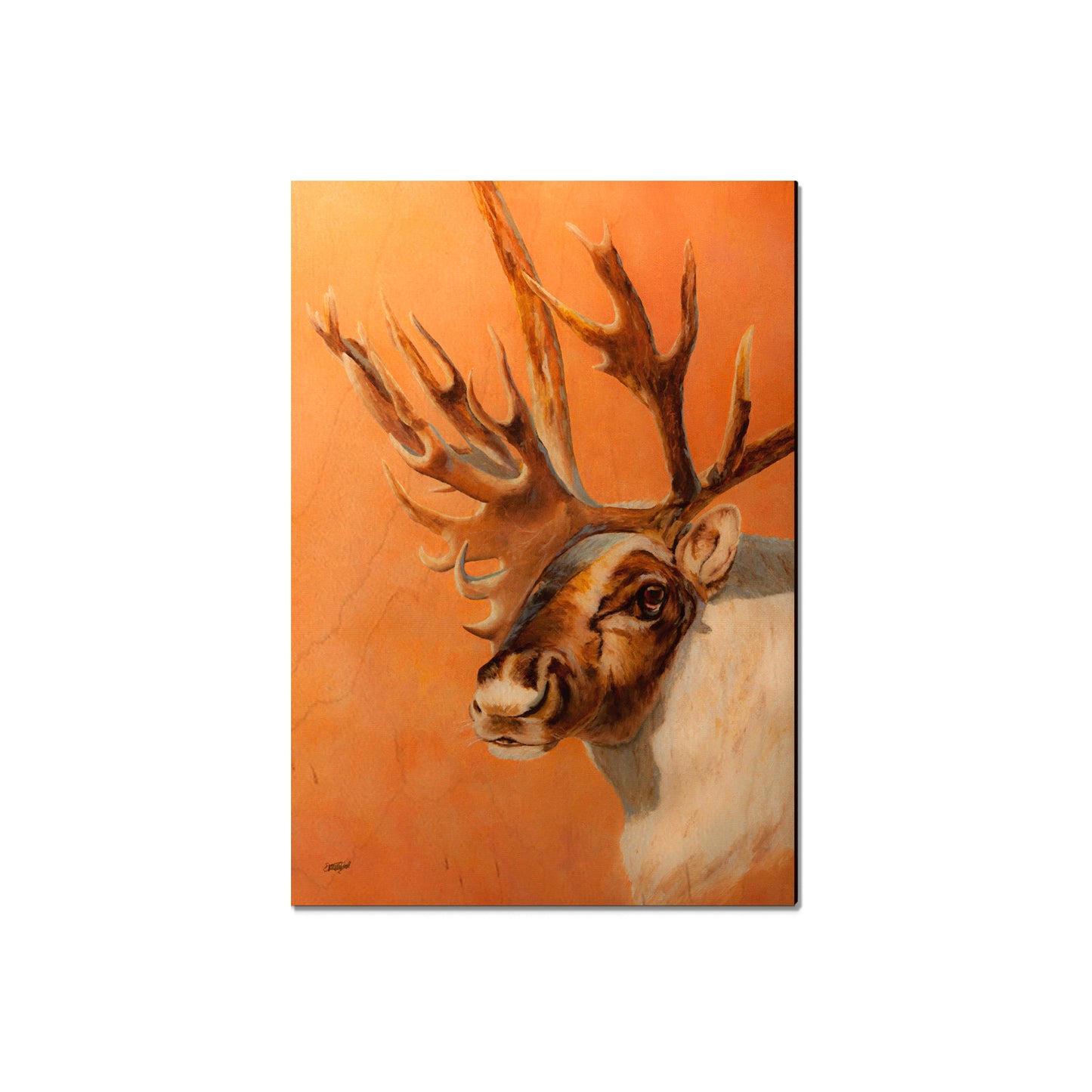 Twitchell's Bull Caribou - Classic Edge
