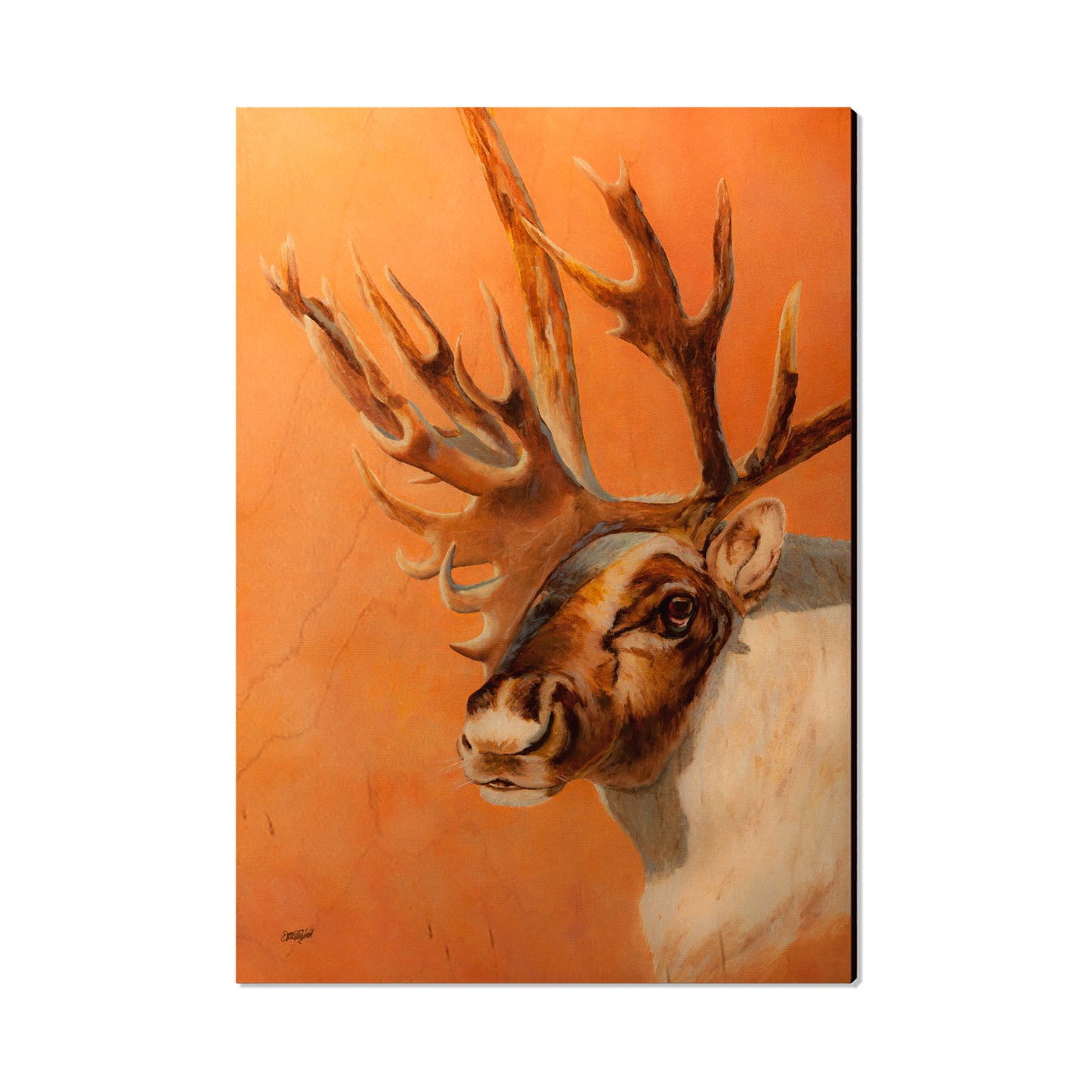 Twitchell's Bull Caribou - Classic Edge