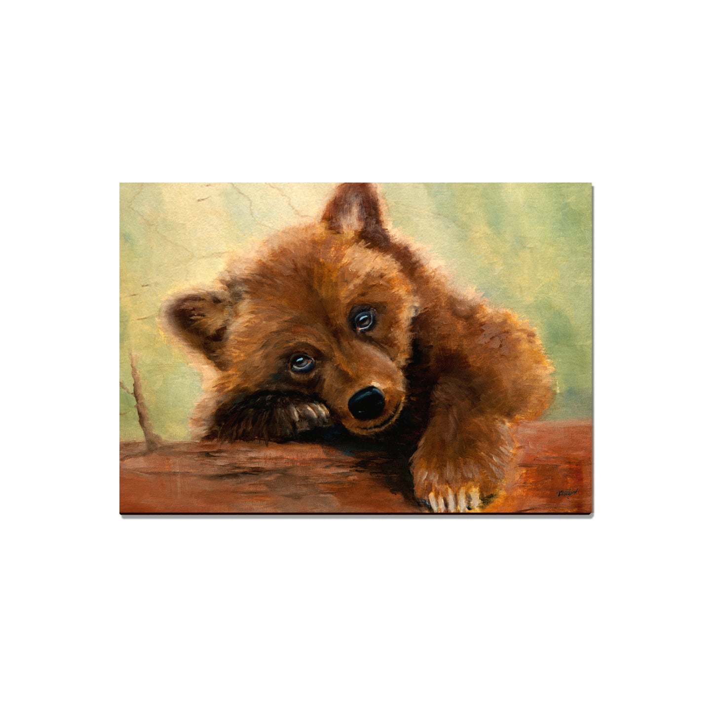 Twitchell's Bear Cub - Classic Edge
