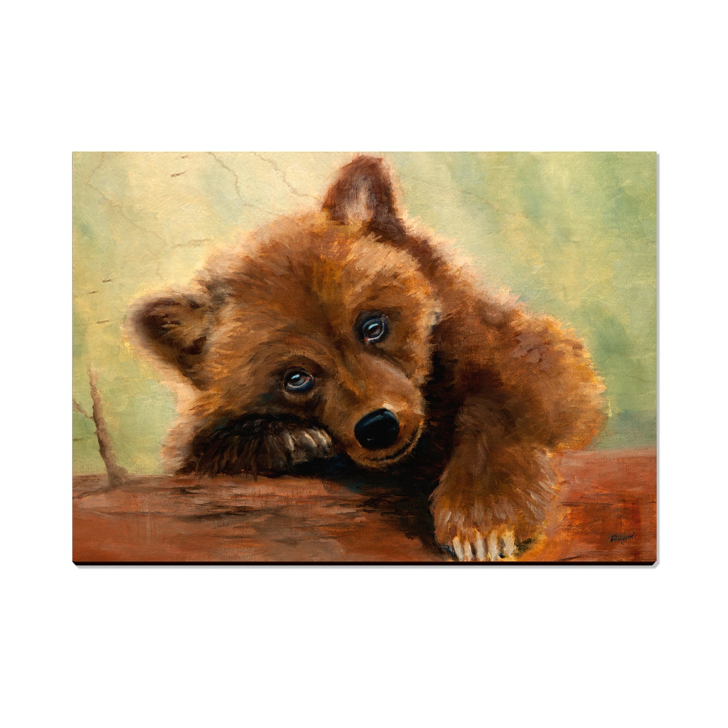 Twitchell's Bear Cub - Classic Edge