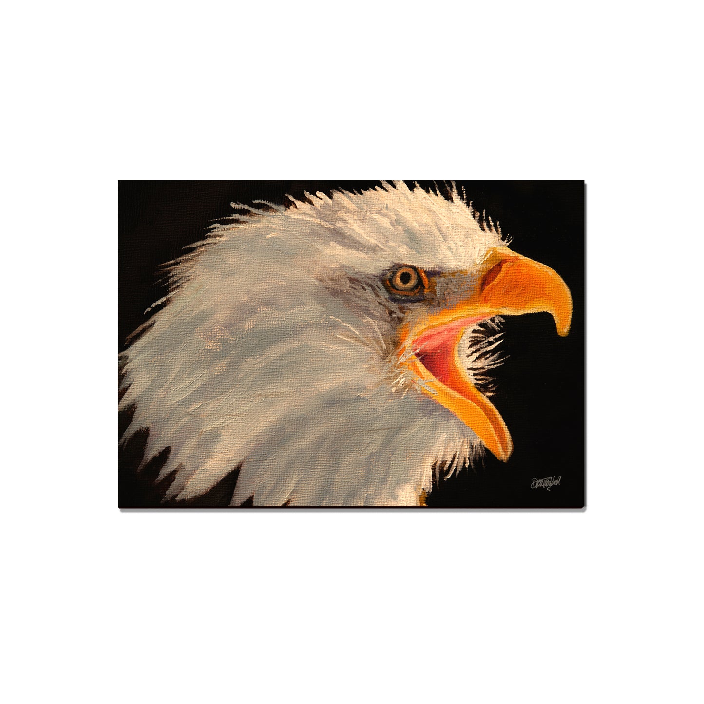 Twitchell's Eagle in Light - Classic Edge