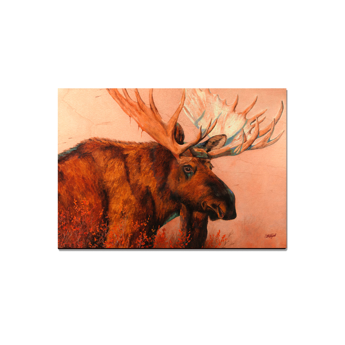 Twitchell's King of Denali - Classic Edge