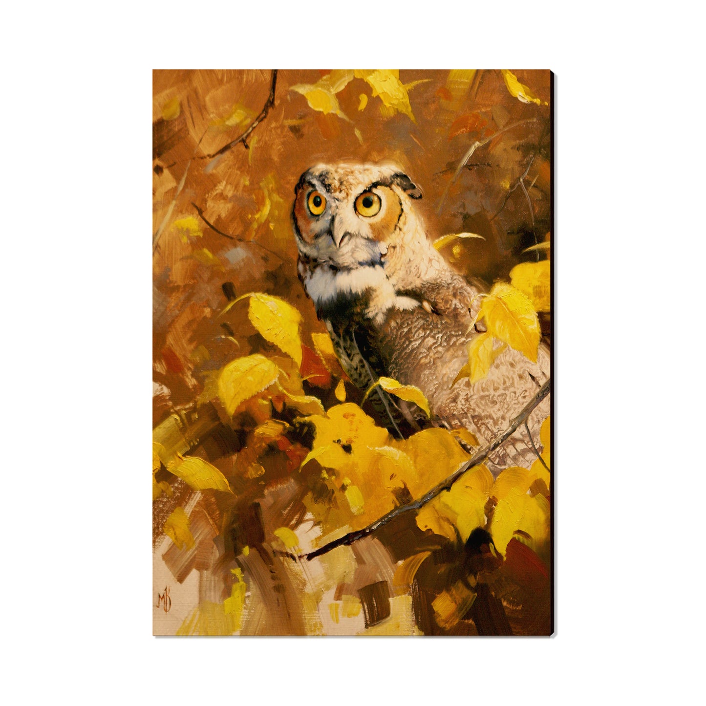 Kelso's Autumn Eyes - Small Art & Gift Postcard (5pk // $2.40ea)