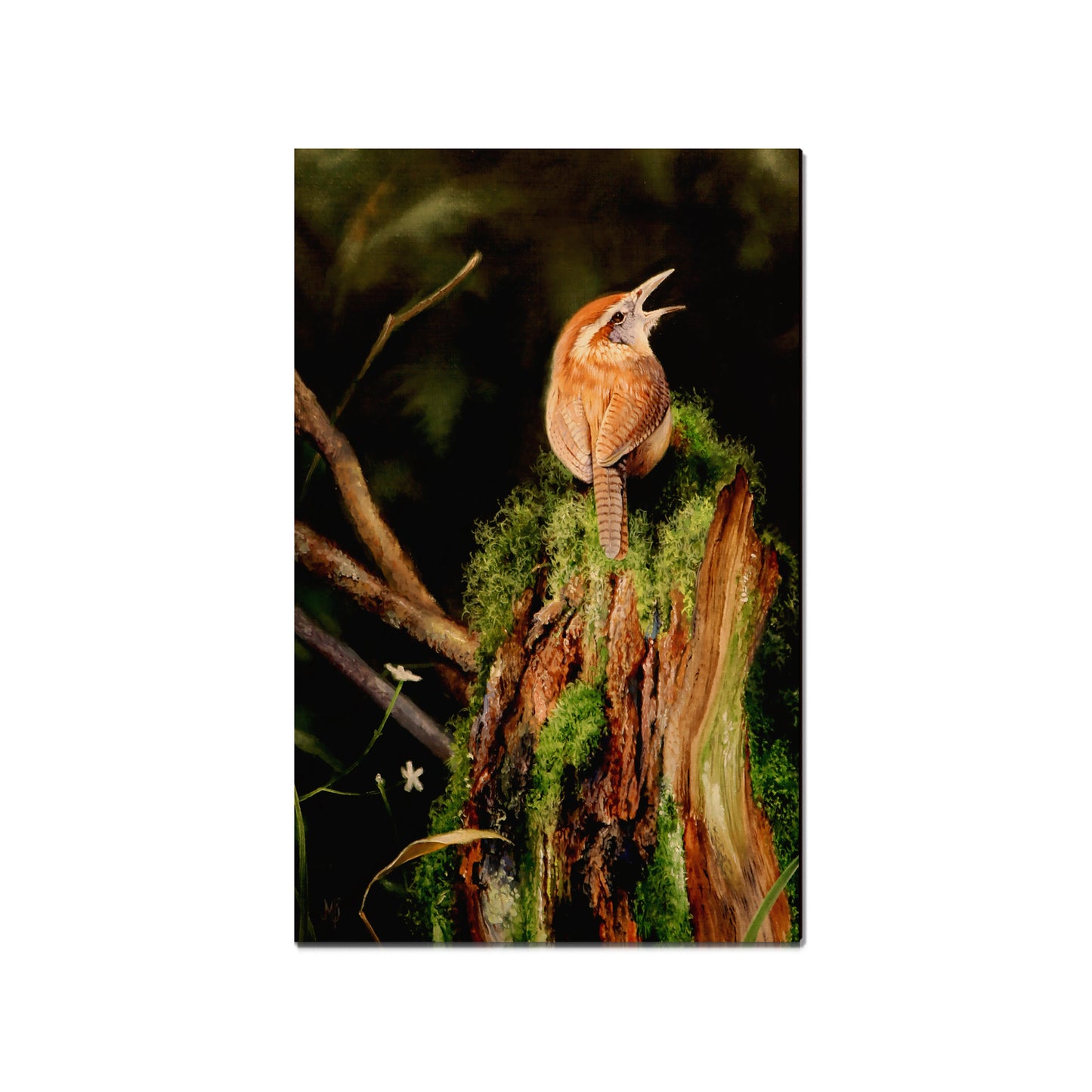 Kelso's Carolina Caroler - Small Art & Gift Magnet (5pk // $2.40ea)