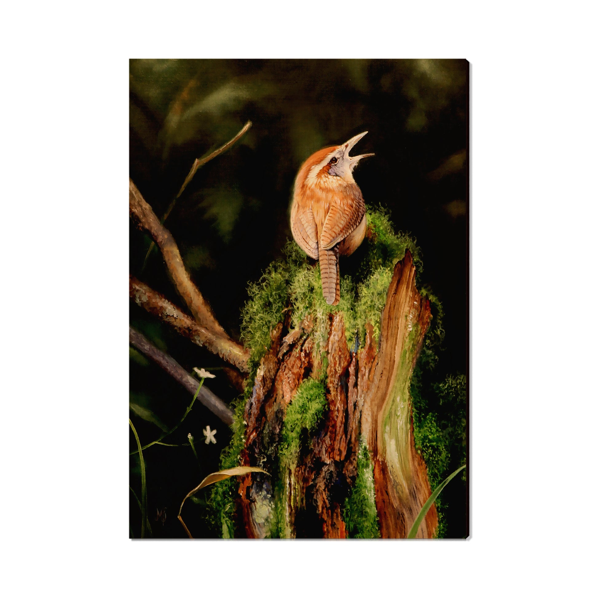Kelso's Carolina Caroler - Small Art & Gift Postcard (5pk // $2.40ea)