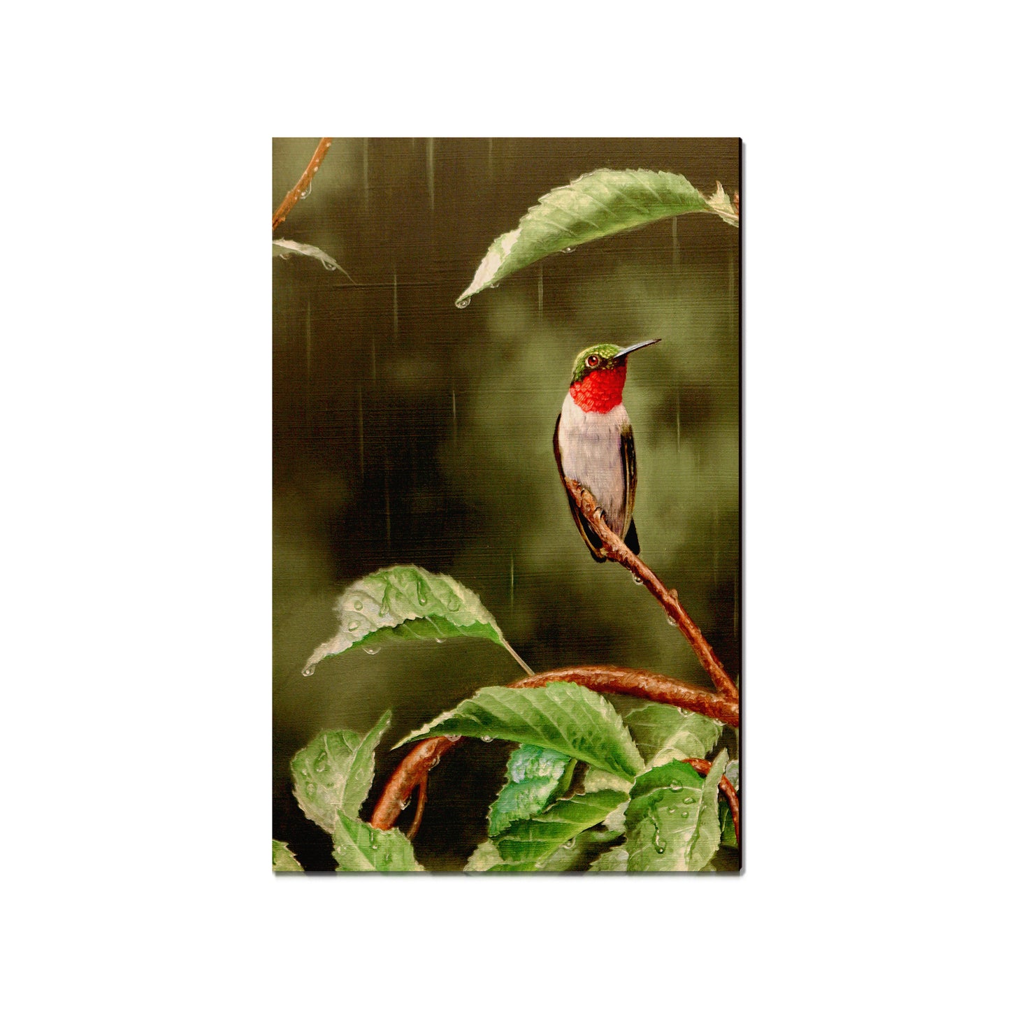 Kelso's Little Shelter - Small Art & Gift Magnet (5pk // $2.40ea)