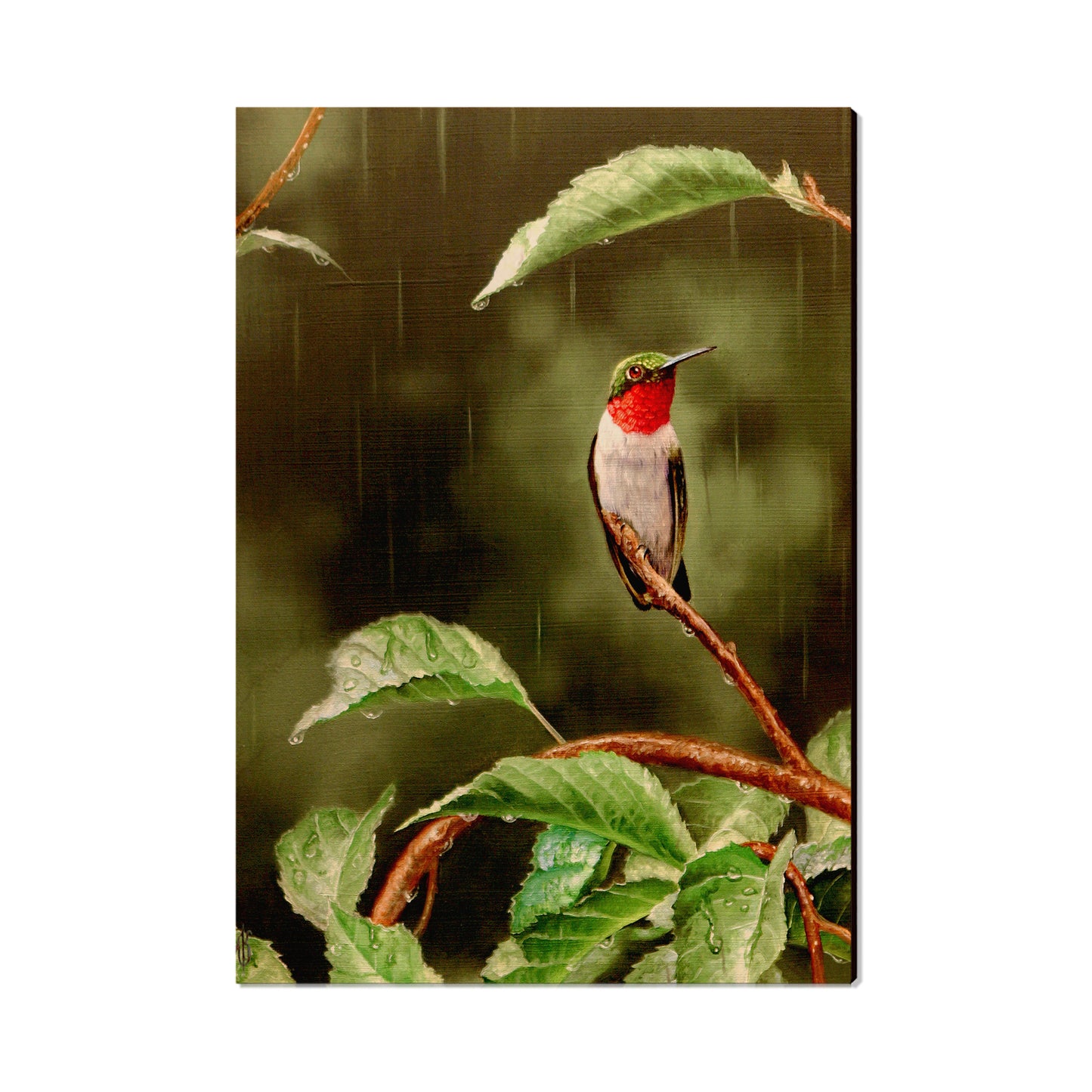 Kelso's Little Shelter - Small Art & Gift Postcard (5pk // $2.40ea)