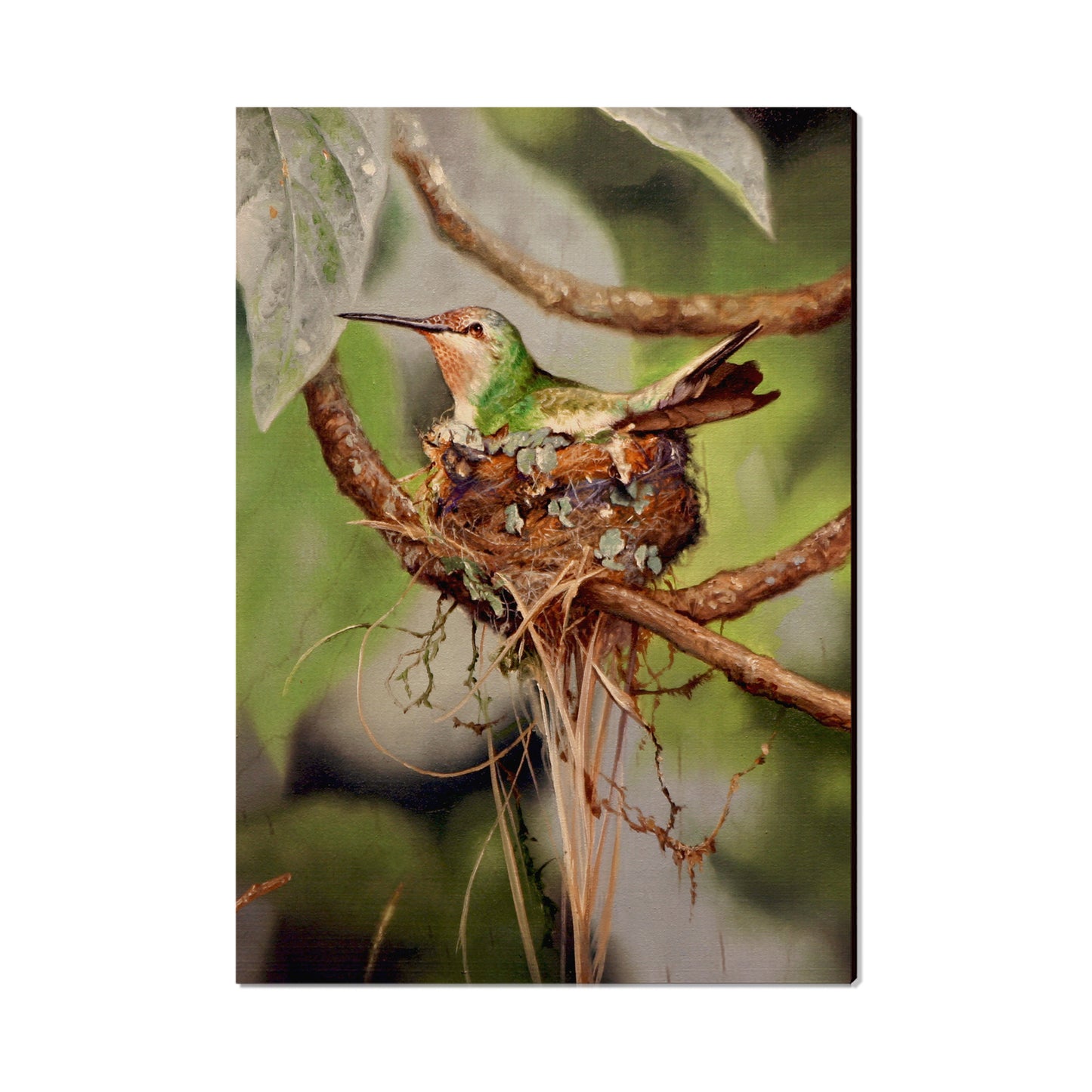 Kelso's Lady in Waiting - Small Art & Gift Postcard (5pk // $2.40ea)