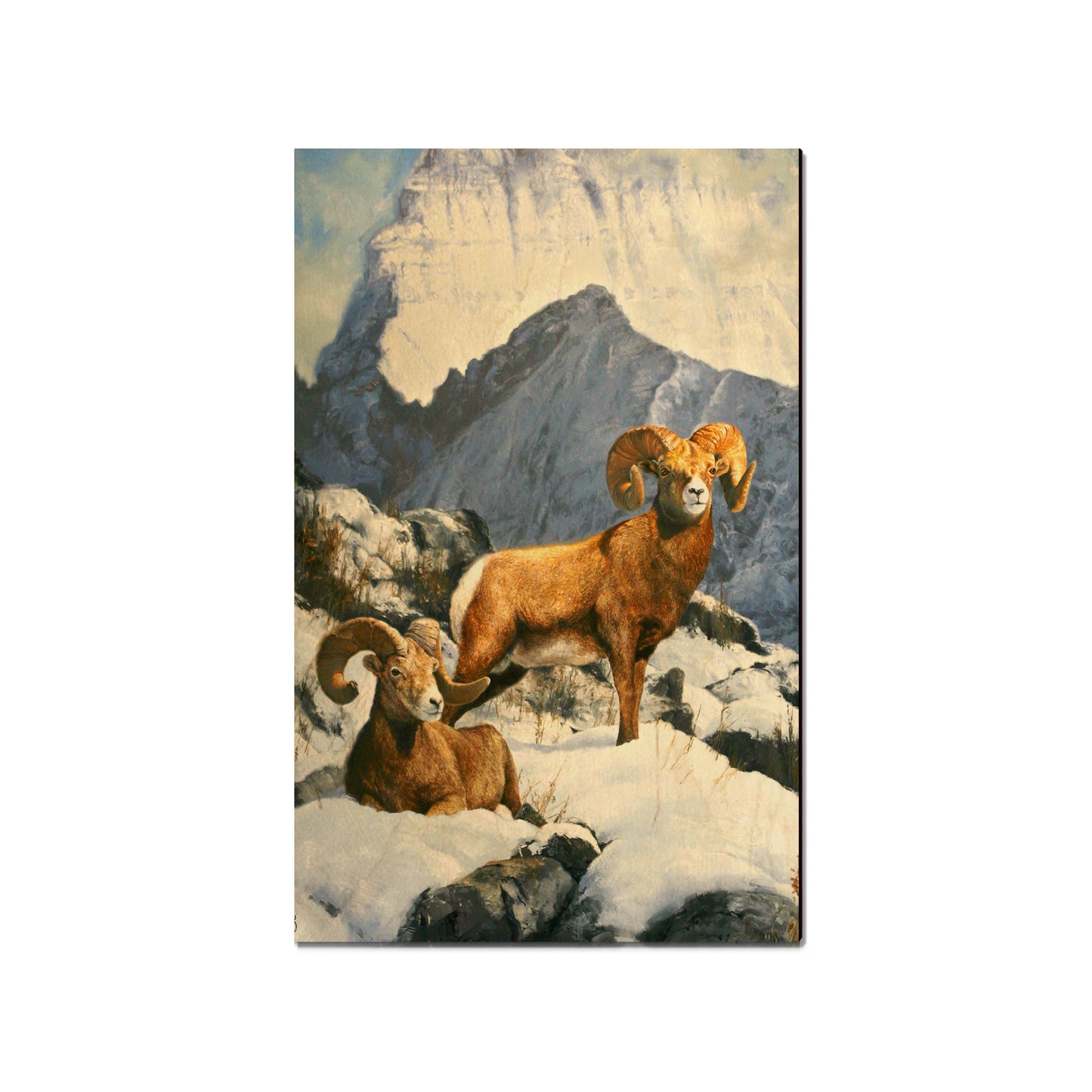 Kelso's Mountain Kings - Small Art & Gift Magnet (5pk // $2.40ea)
