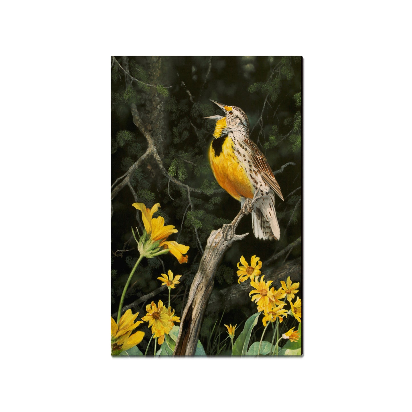 Kelso's Meadow & Wood - Small Art & Gift Magnet (5pk // $2.40ea)