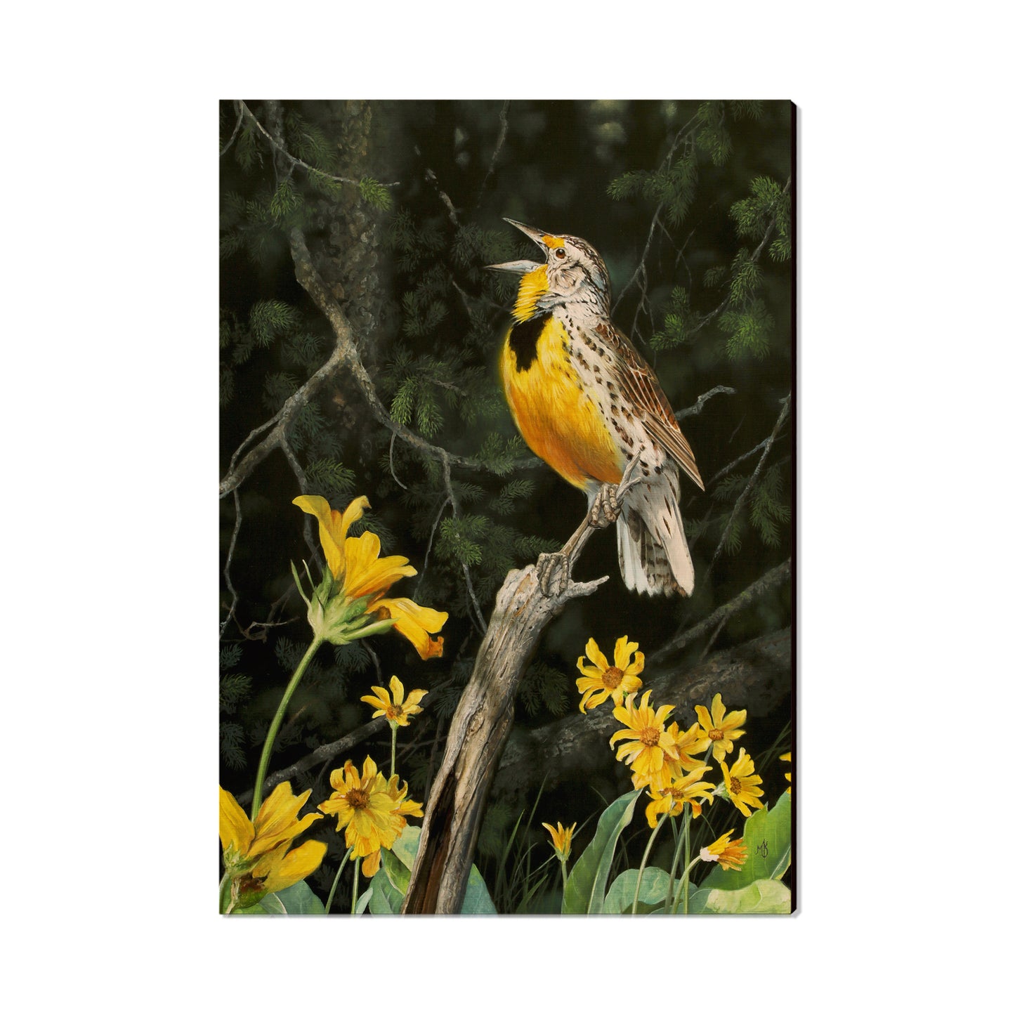 Kelso's Meadow & Wood - Small Art & Gift Postcard (5pk // $2.40ea)