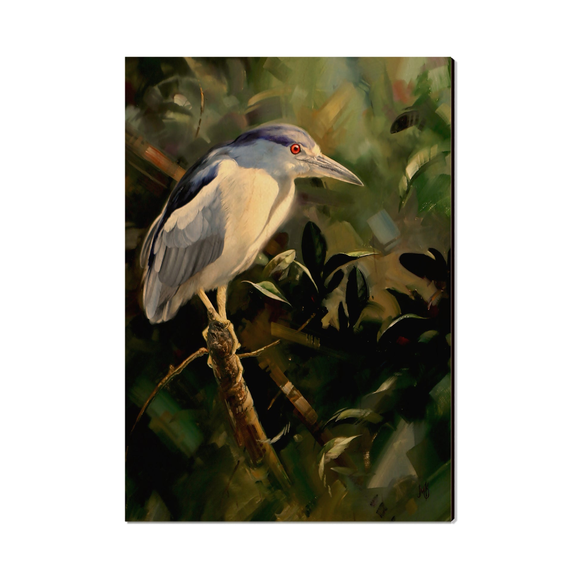 Kelso's Night Light - Small Art & Gift Postcard (5pk // $2.40ea)