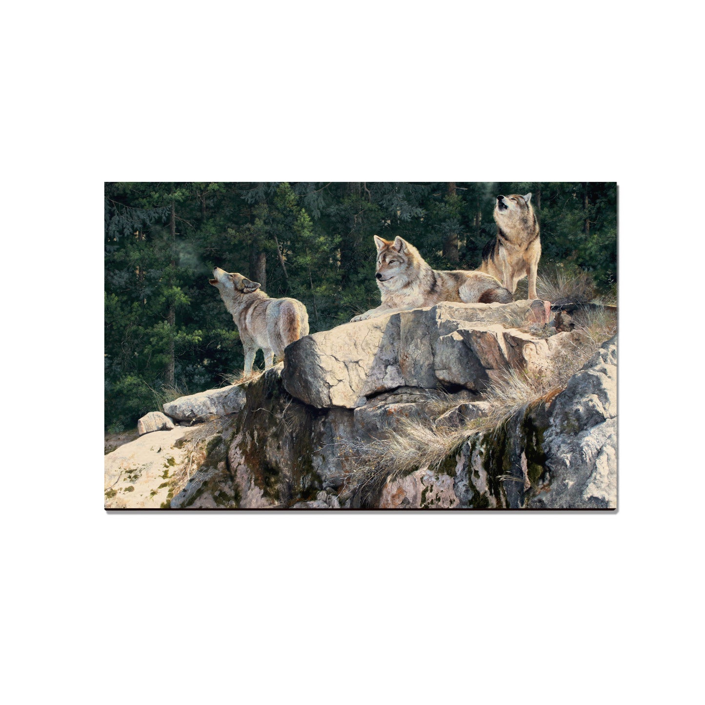 Kelso's Rally on the Ridge - Small Art & Gift Magnet (5pk // $2.40ea)