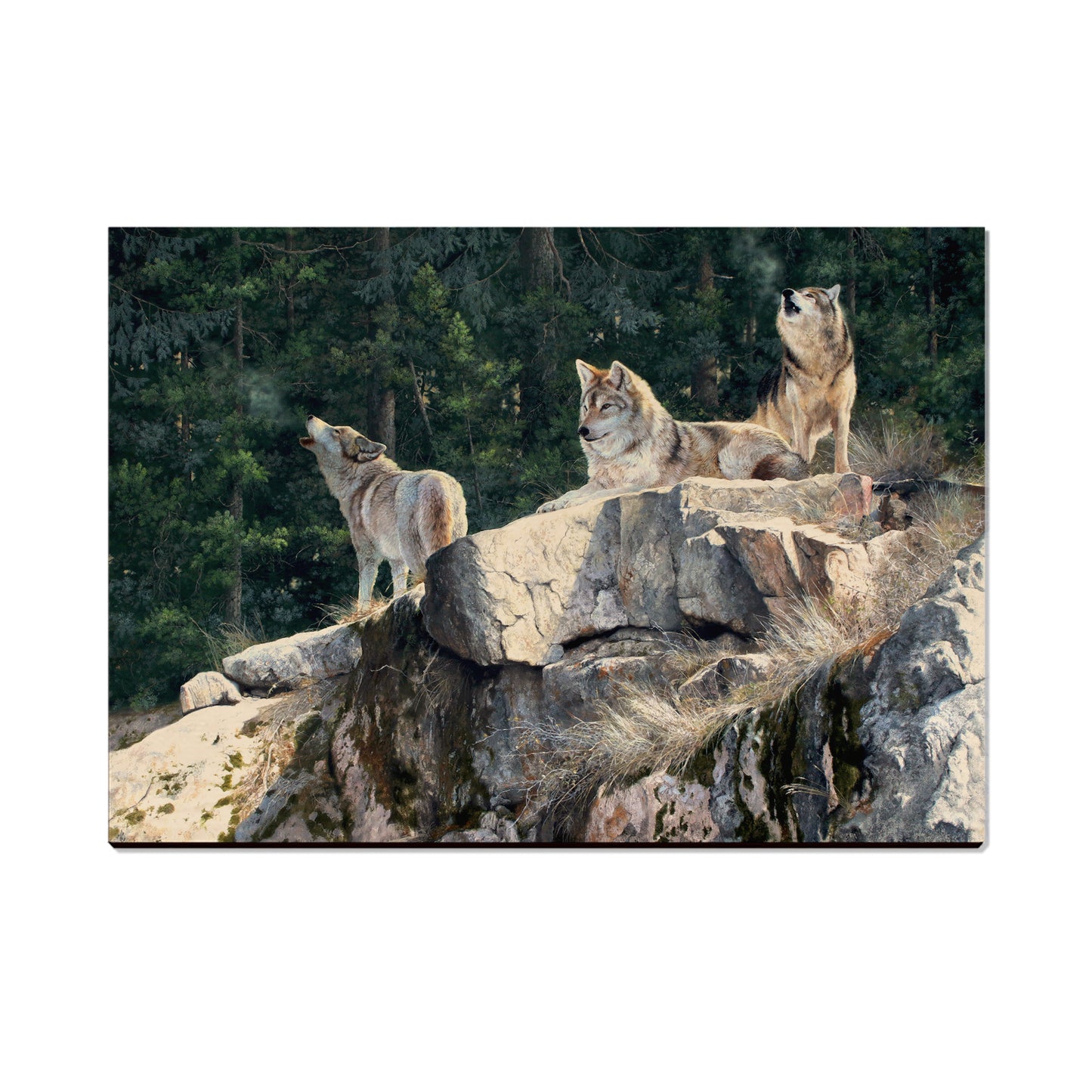 Kelso's Rally on the Ridge - Small Art & Gift Postcard (5pk // $2.40ea)