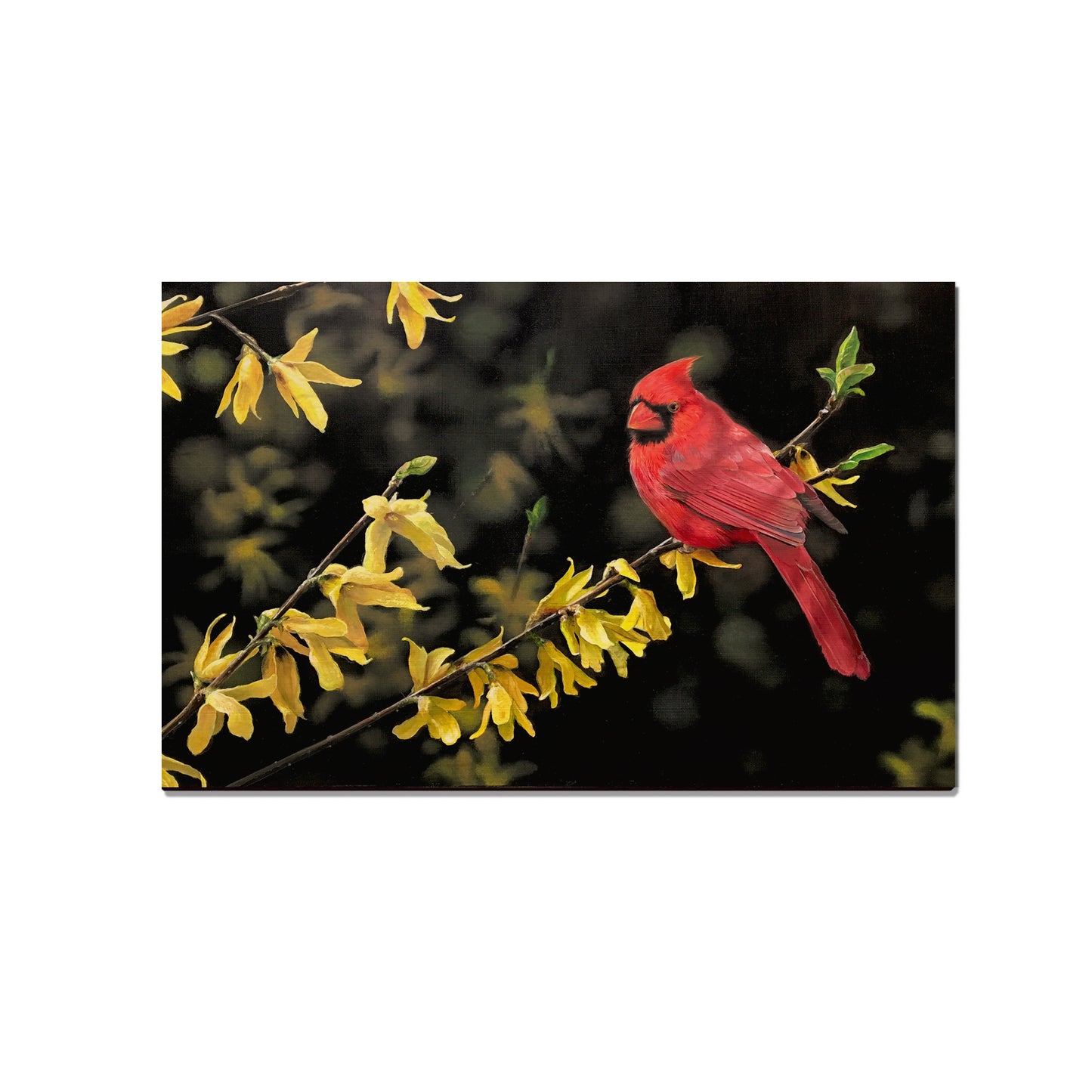 Kelso's Spring Fire - Small Art & Gift Magnet (5pk // $2.40ea)