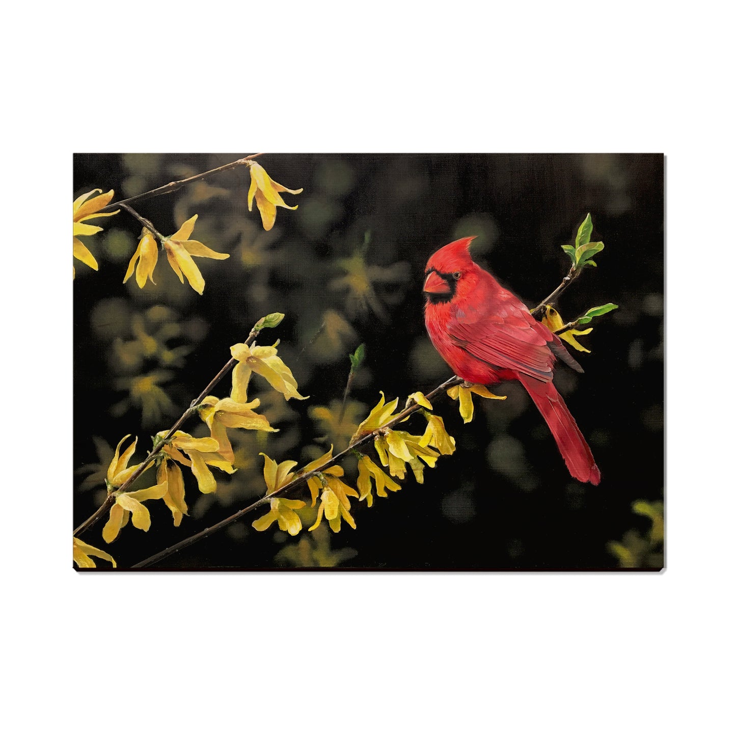 Kelso's Spring Fire - Small Art & Gift Postcard (5pk // $2.40ea)