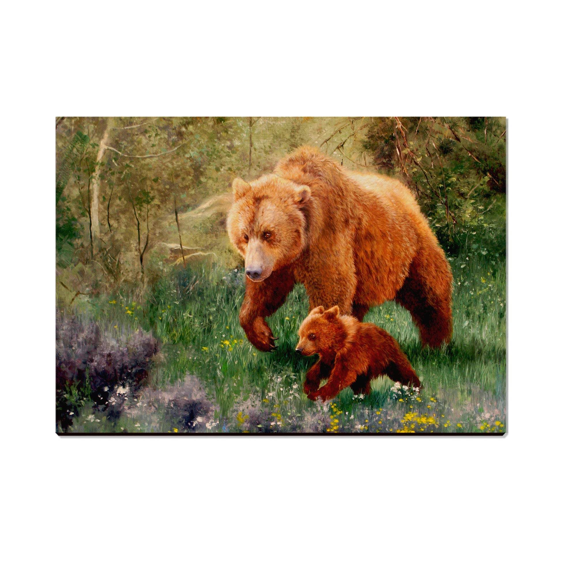 Kelso's The Adventurer - Small Art & Gift Postcard (5pk // $2.40ea)