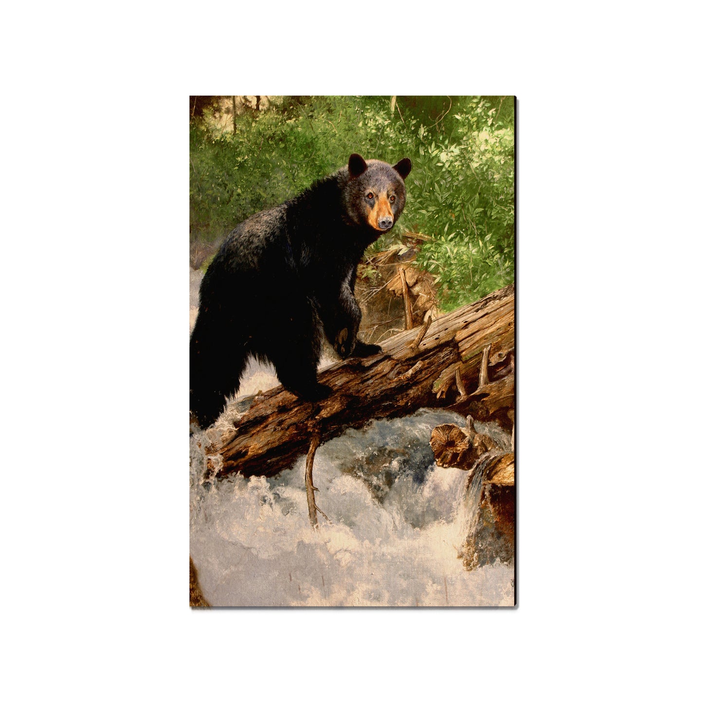Kelso's The Causeway - Small Art & Gift Magnet (5pk // $2.40ea)