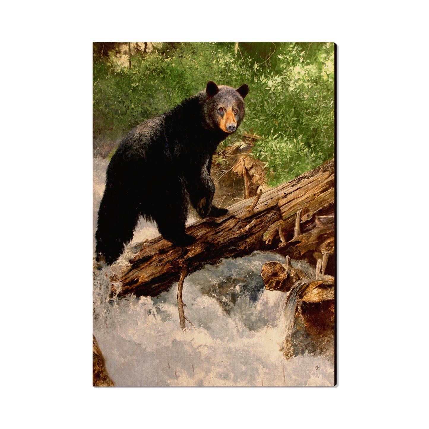 Kelso's The Causeway - Small Art & Gift Postcard (5pk // $2.40ea)