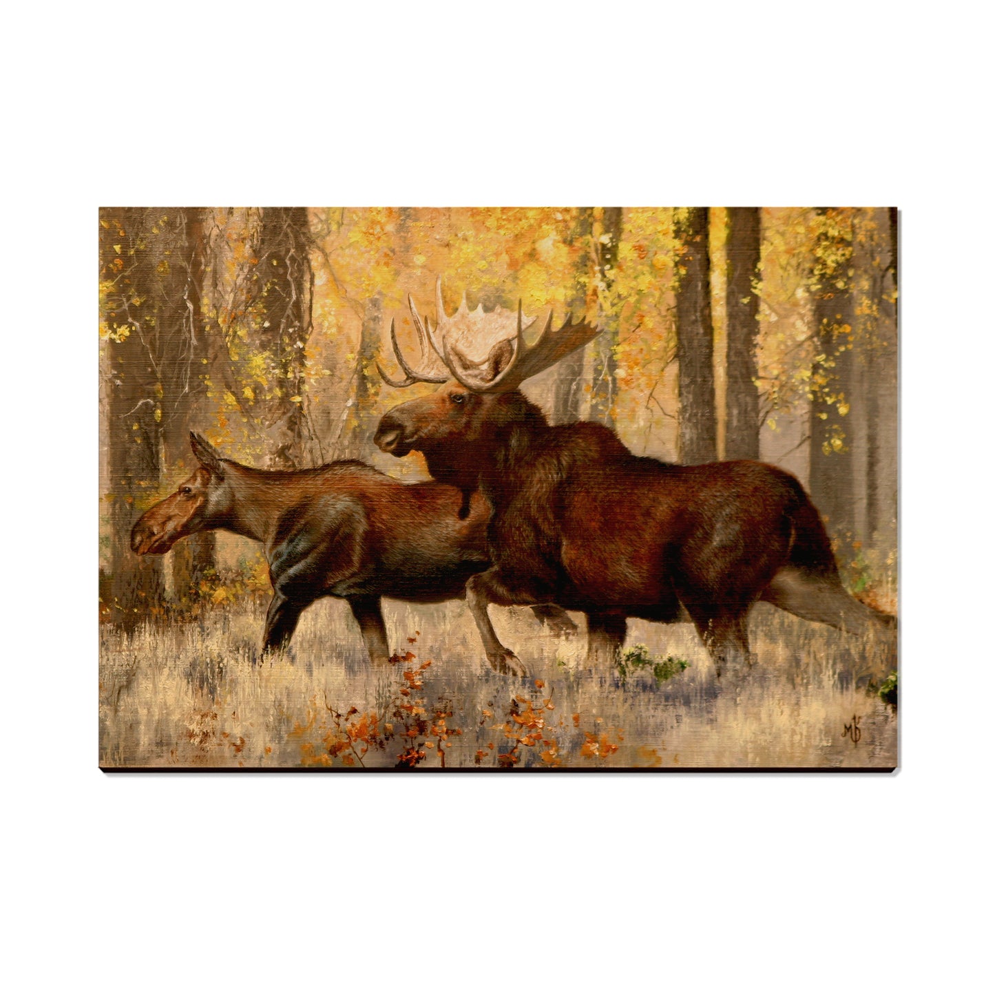 Kelso's The Courtship - Small Art & Gift Postcard (5pk // $2.40ea)