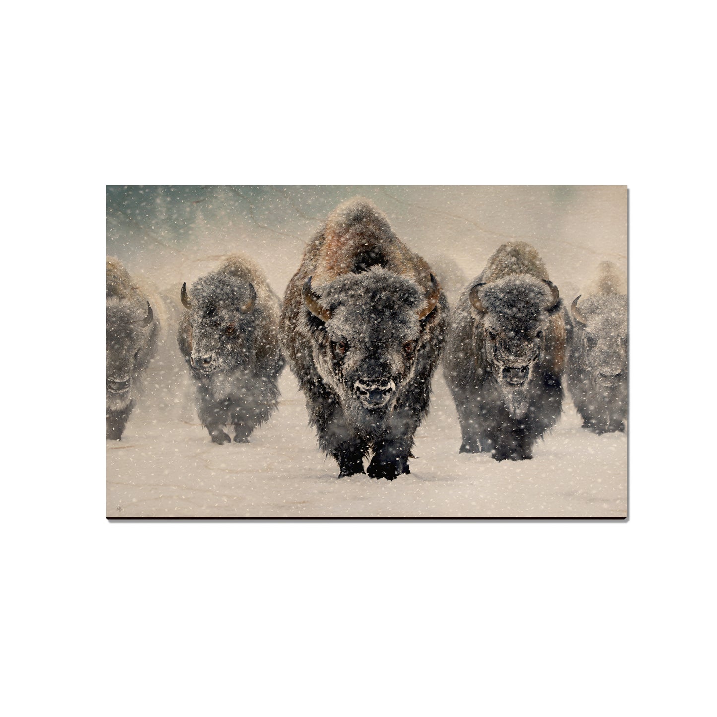 Kelso's The Indomitable - Small Art & Gift Magnet (5pk // $2.40ea)