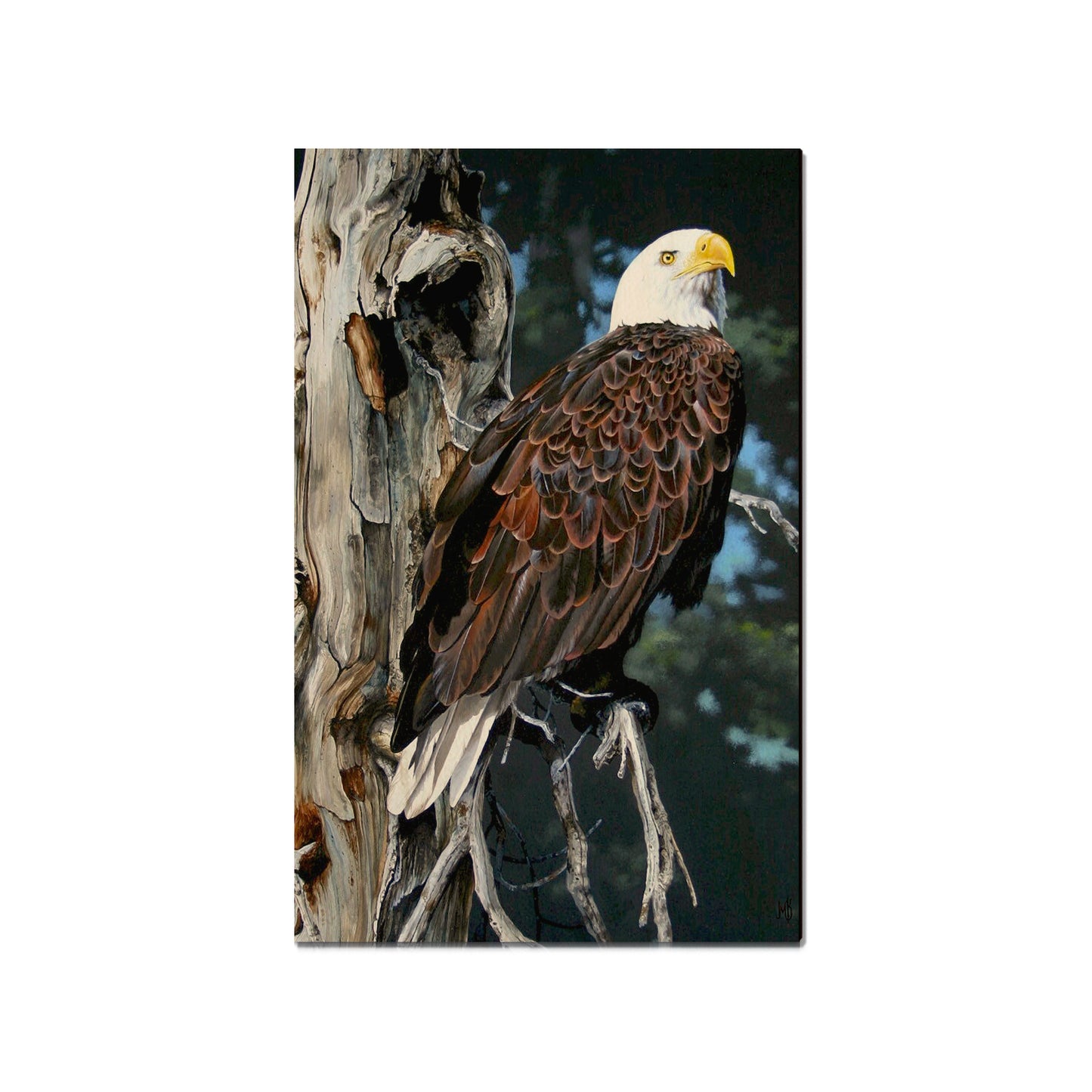Kelso's Watch Tower - Small Art & Gift Magnet (5pk // $2.40ea)