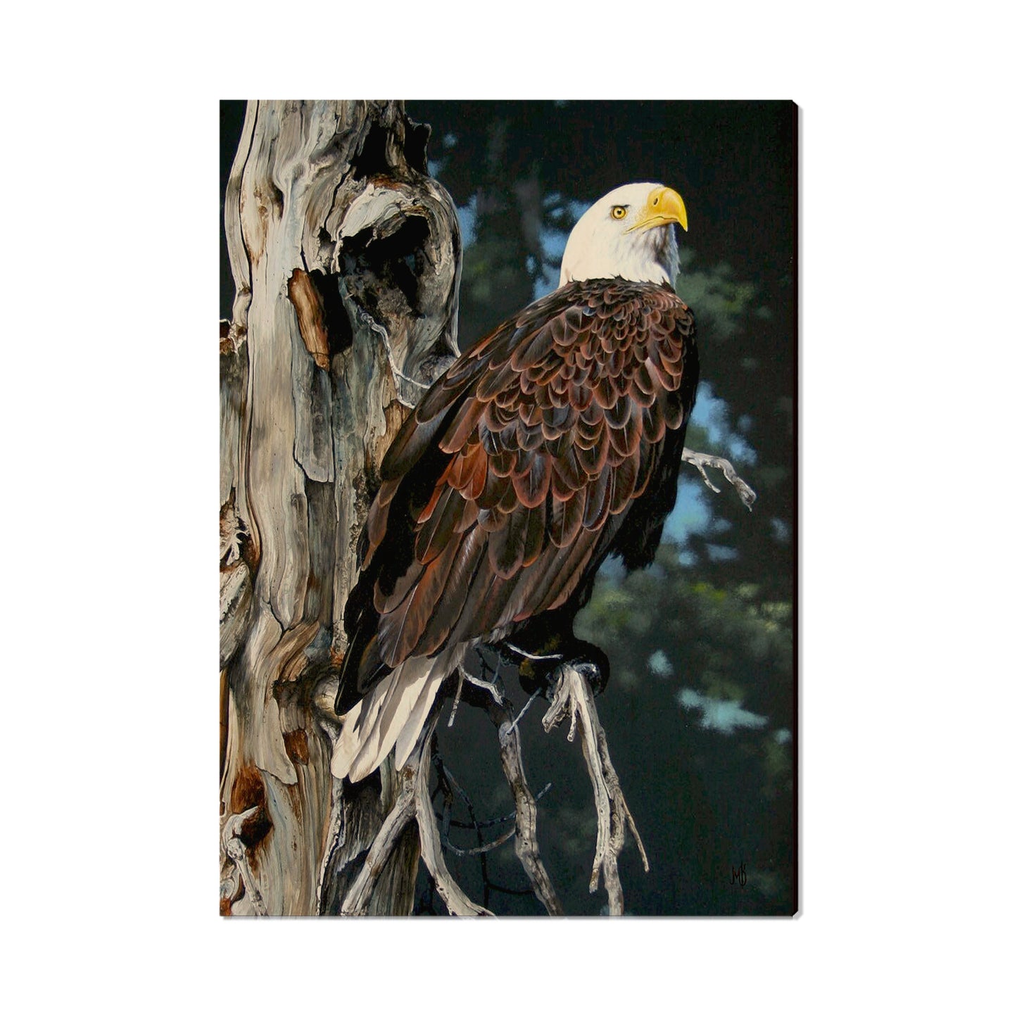 Kelso's Watch Tower - Small Art & Gift Postcard (5pk // $2.40ea)