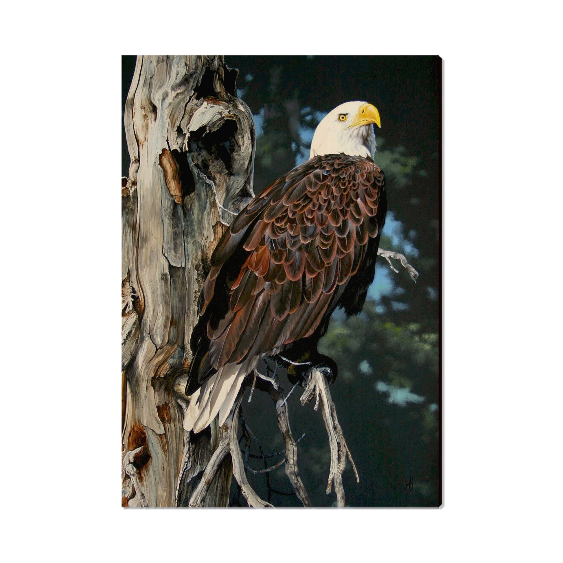 Kelso's Watch Tower - Small Art & Gift Postcard (5pk // $2.40ea)