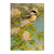 Gould's Chickadee Blossoms - Small Art & Gift Postcard (5pk // $2.80ea)