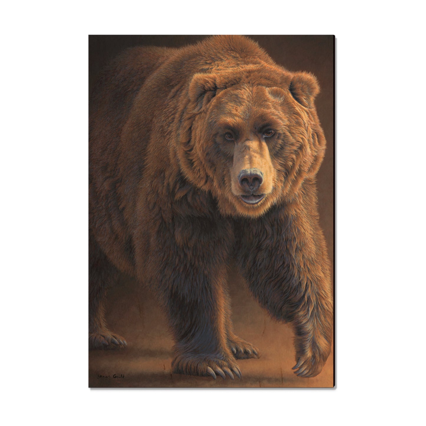 Gould's Close Encounters - Small Art & Gift Magnet (5pk // $2.80ea)
