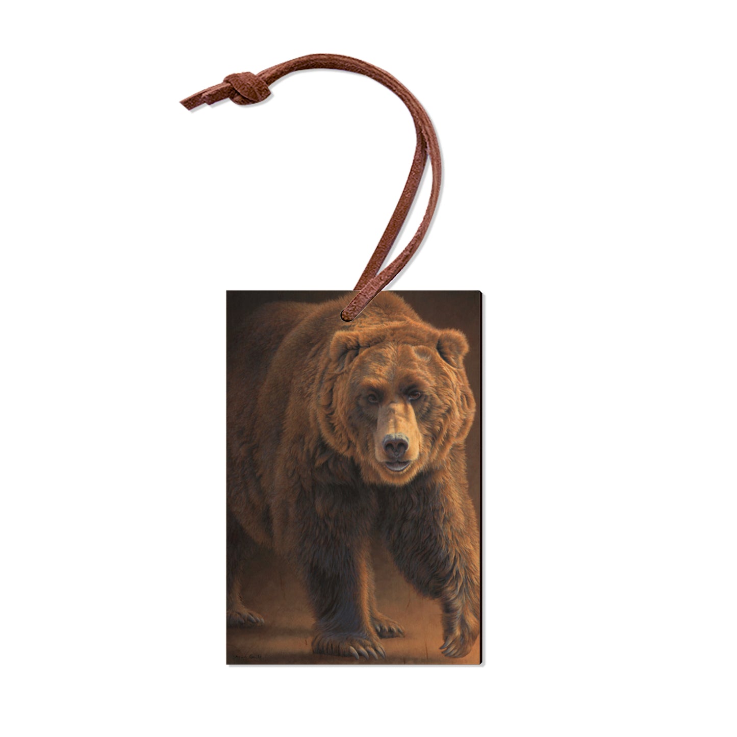 Gould's Close Encounters - Small Art & Gift Ornament (5pk // $2.80ea)