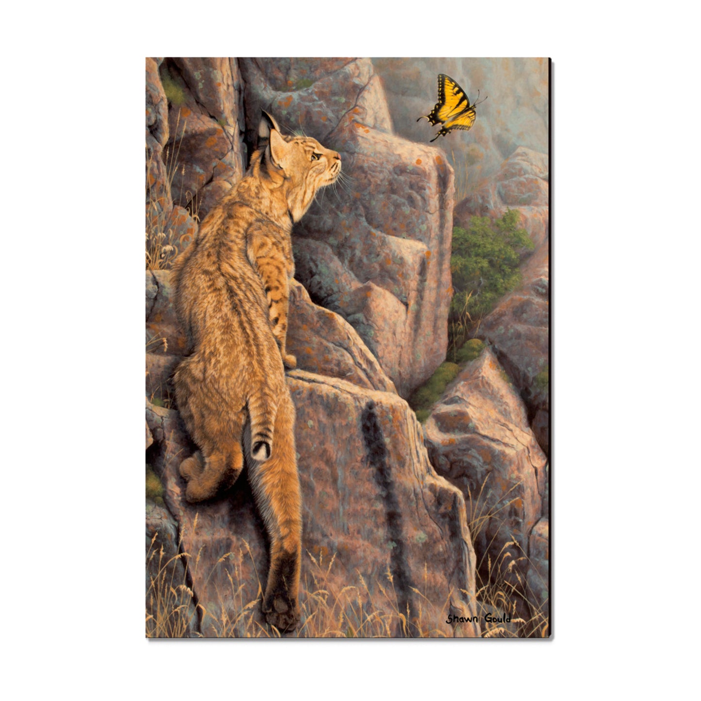 Gould's Enchanted - Small Art & Gift Magnet (5pk // $2.80ea)