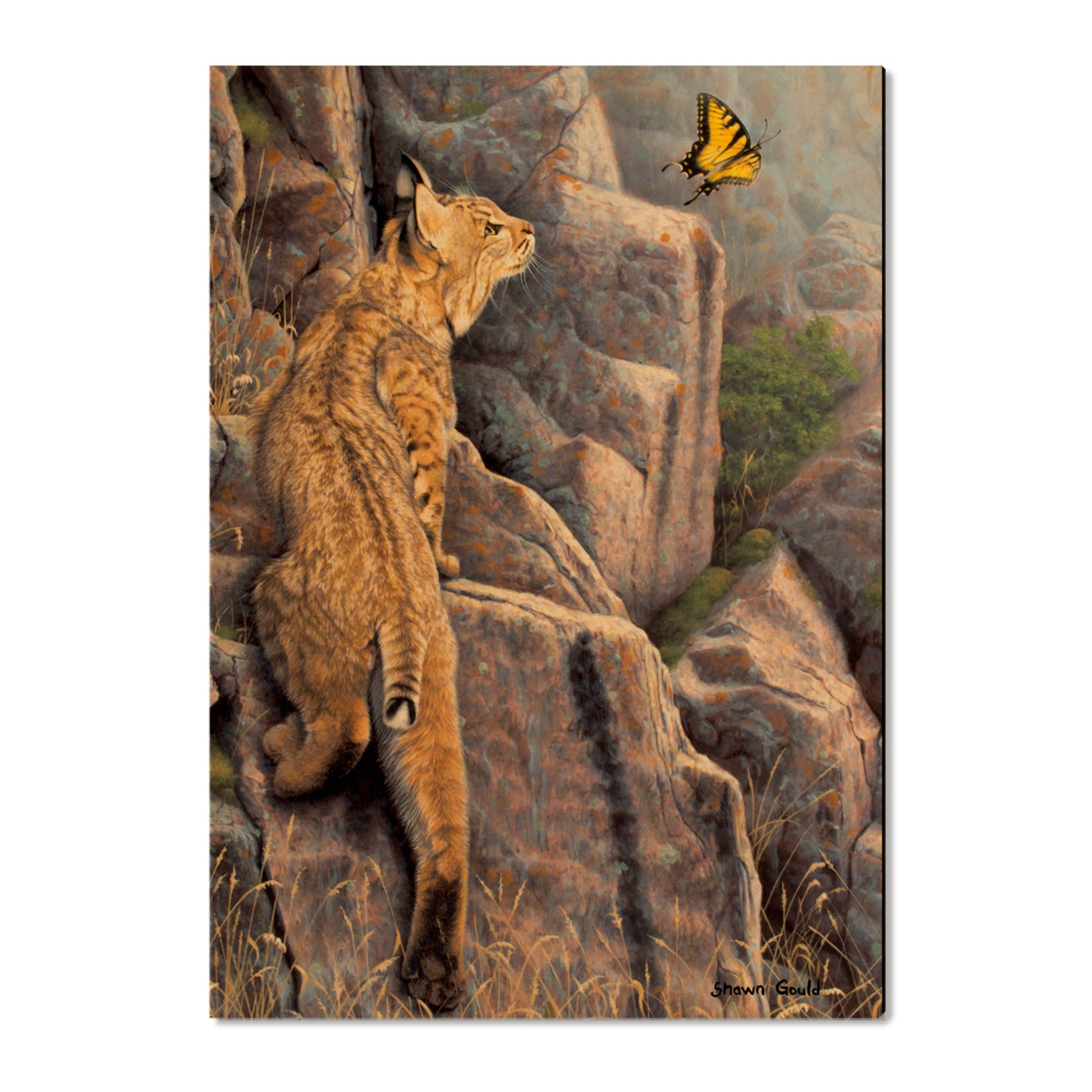 Gould's Enchanted - Small Art & Gift Postcard (5pk // $2.80ea)