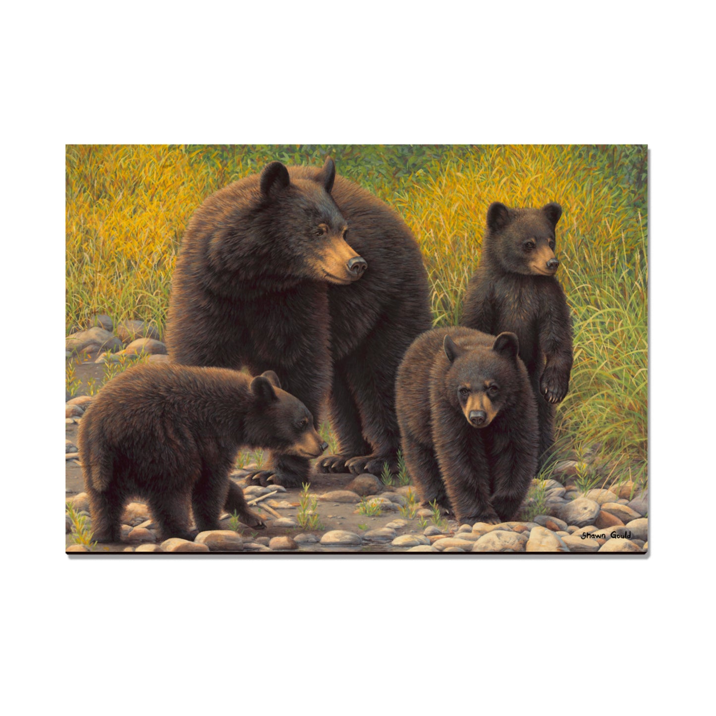 Gould's Family Outing - Small Art & Gift Magnet (5pk // $2.80ea)